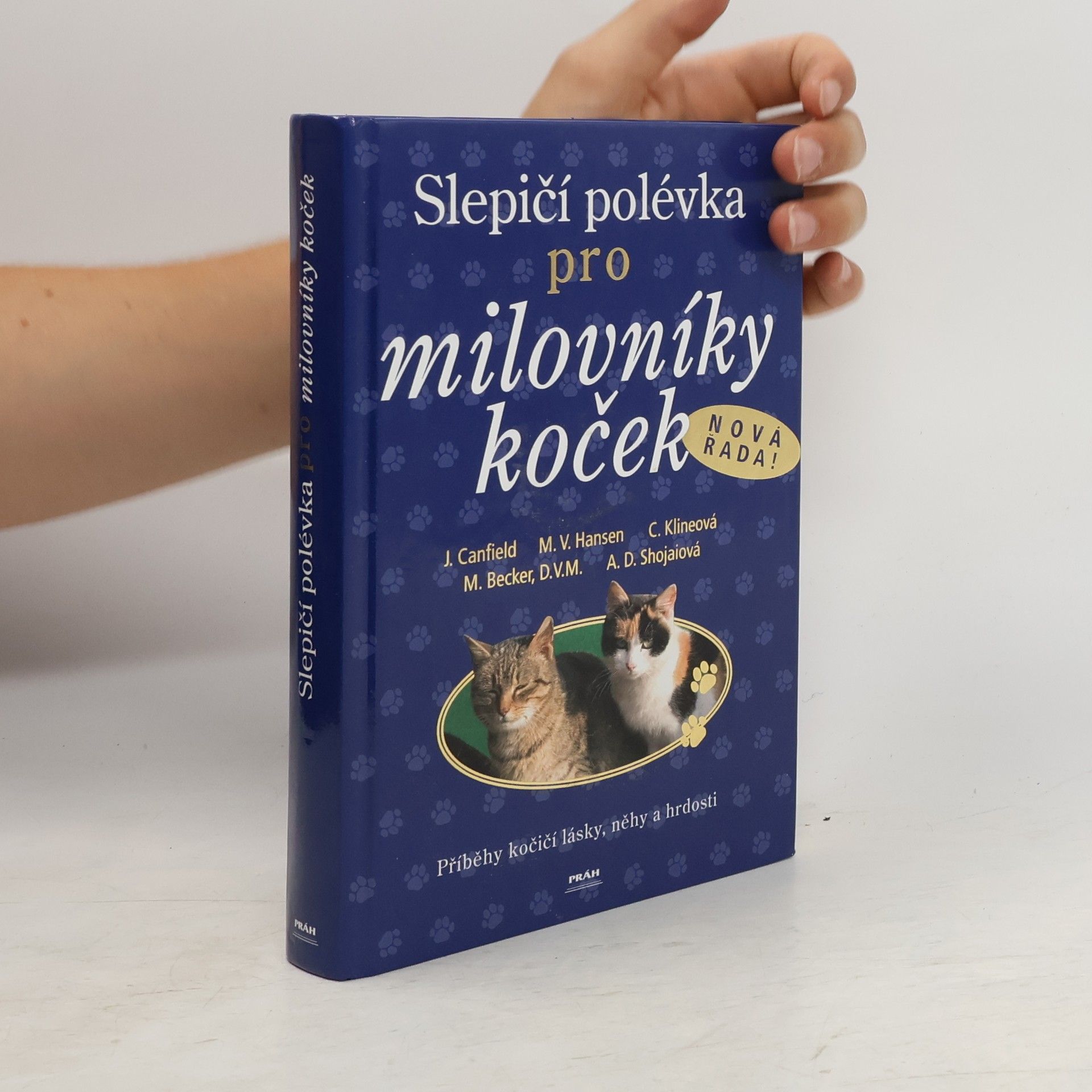Jack Canfield Slepičí polévka pro milovníky koček: Příběhy o kočičí věrnosti, radosti i odvaze