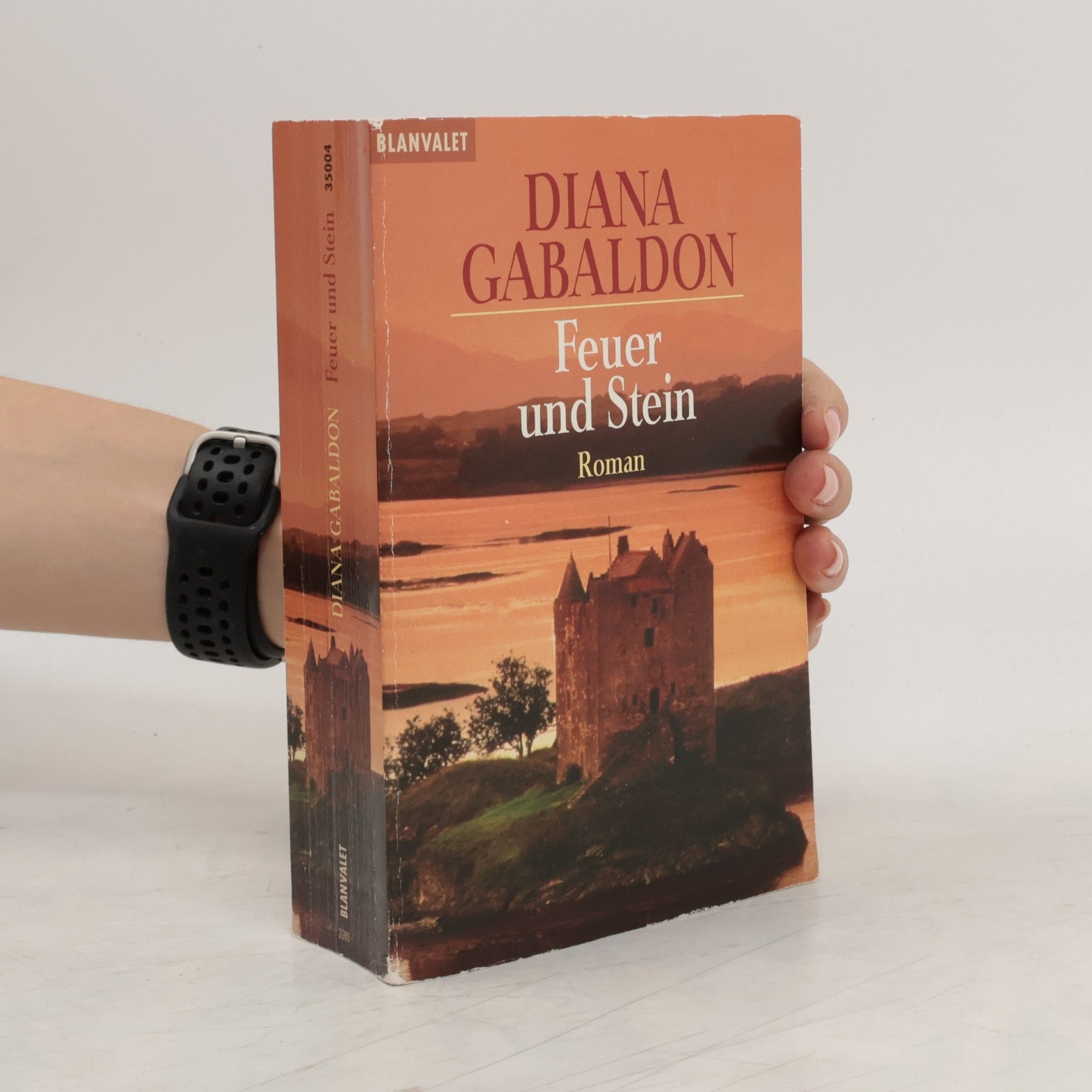 Diana Gabaldon Feuer und Stein