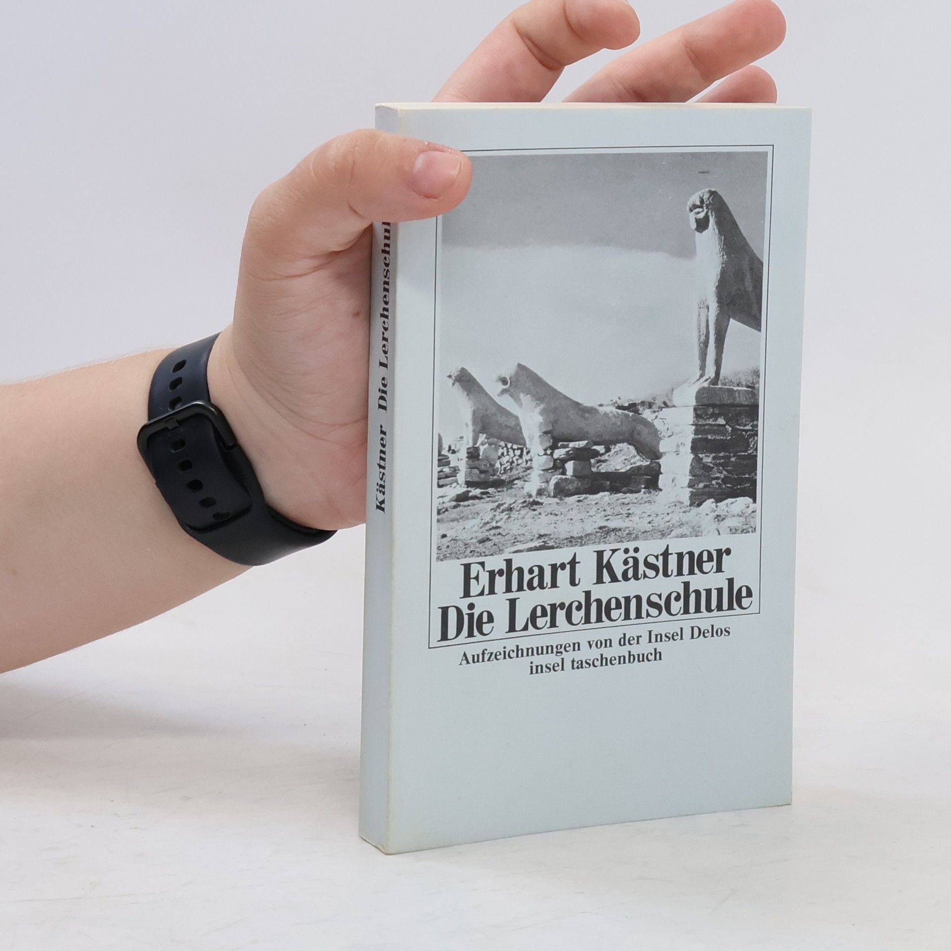 Erhart Kästner Die Lerchenschule