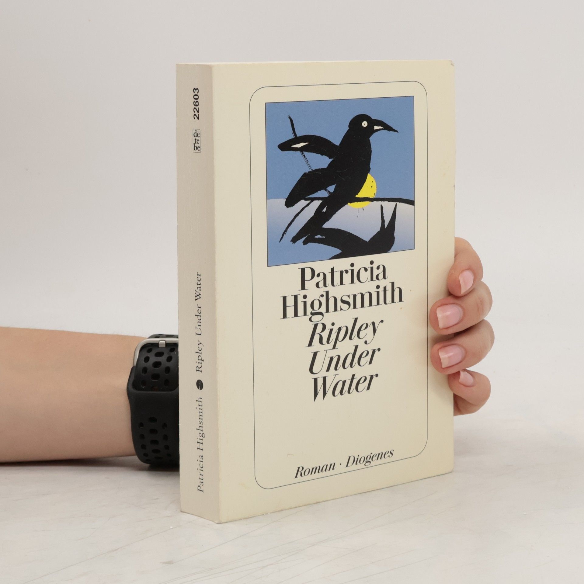 Patricia Highsmith Ripley Under Water