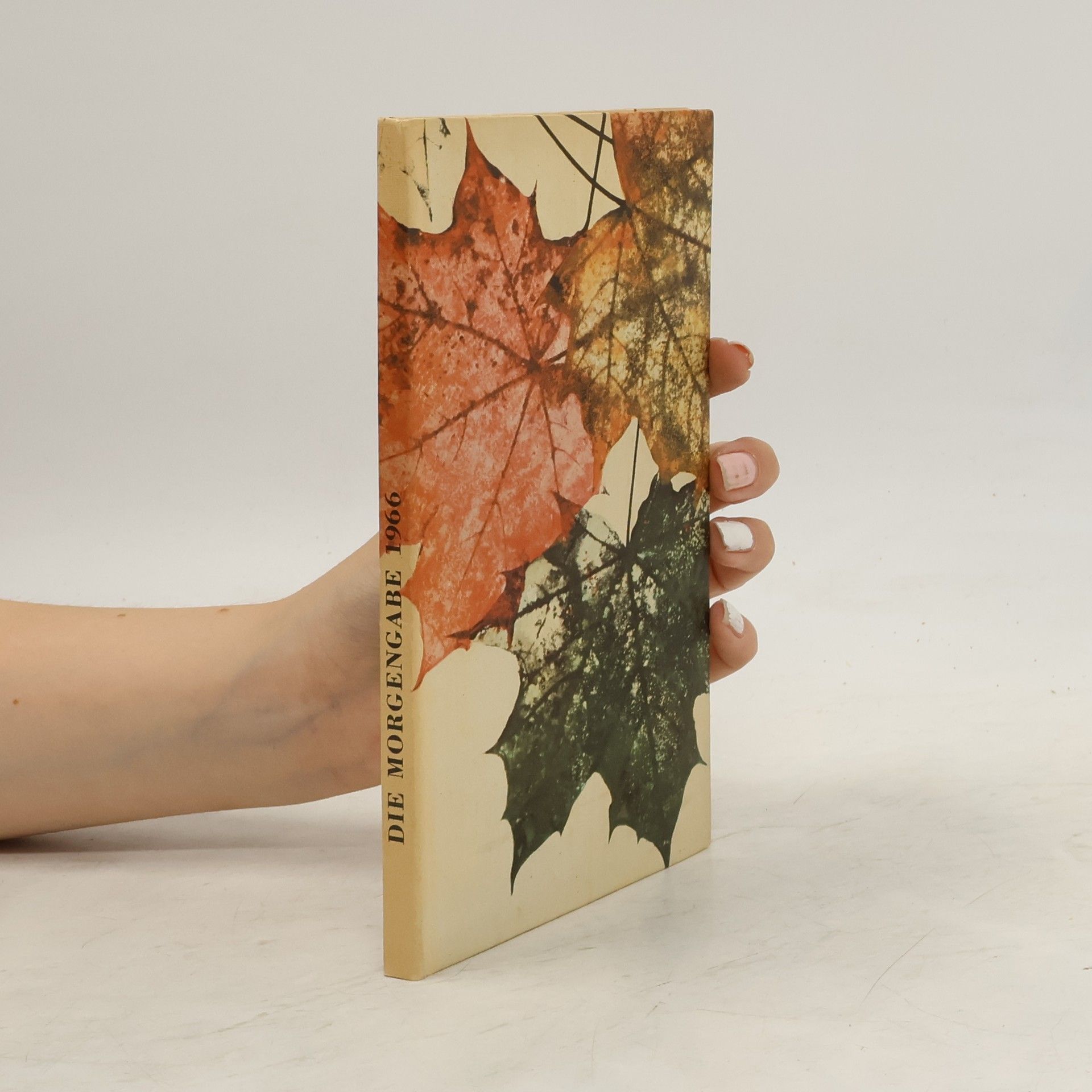 AA.VV. Die Morgengabe: Wegweiser durch das Jahr 1966