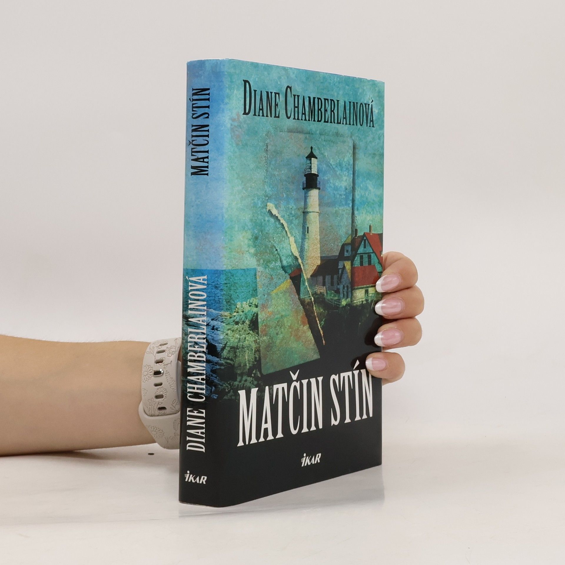 Diane Chamberlain Matčin stín