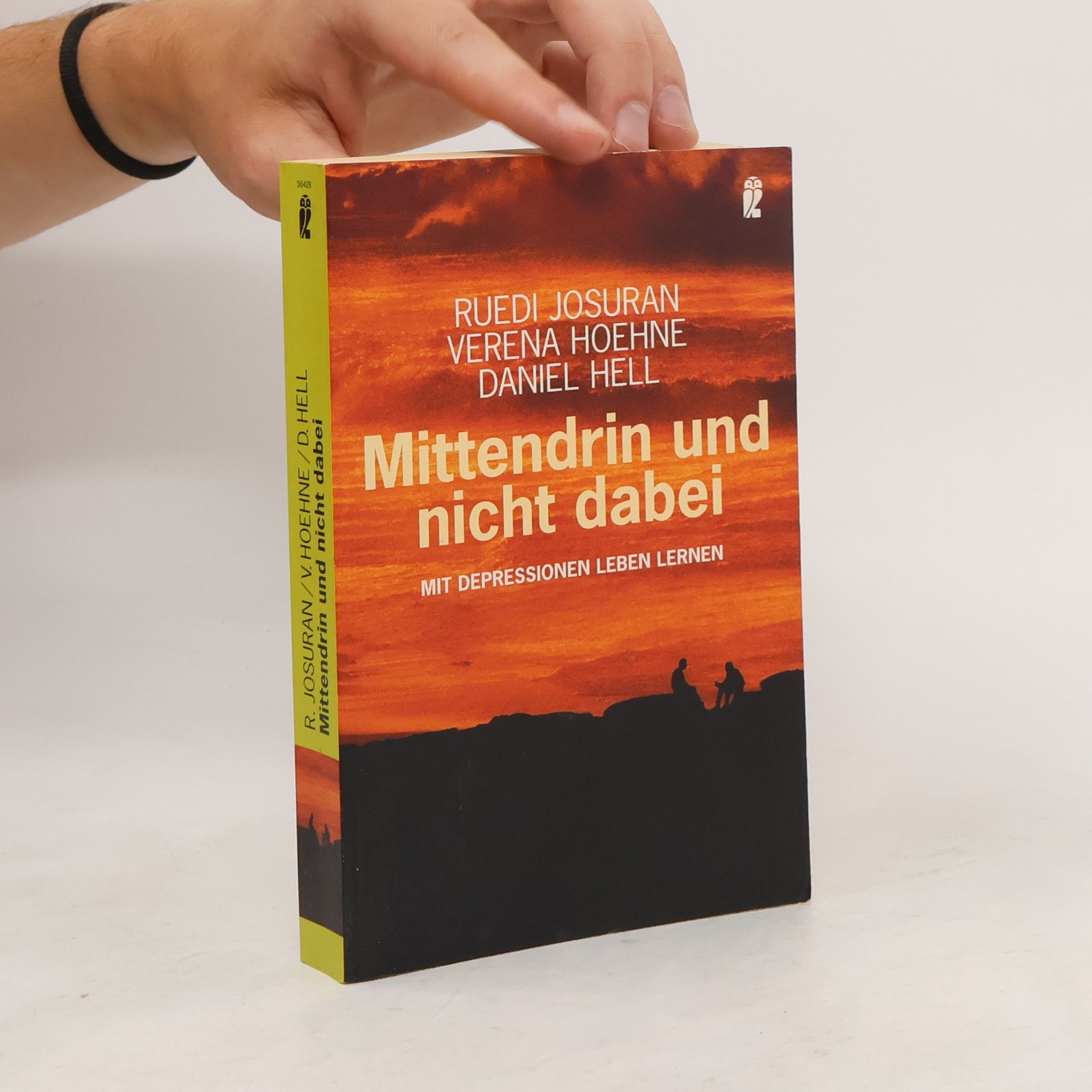 Ruedi Josuran Mittendrin und nicht dabei