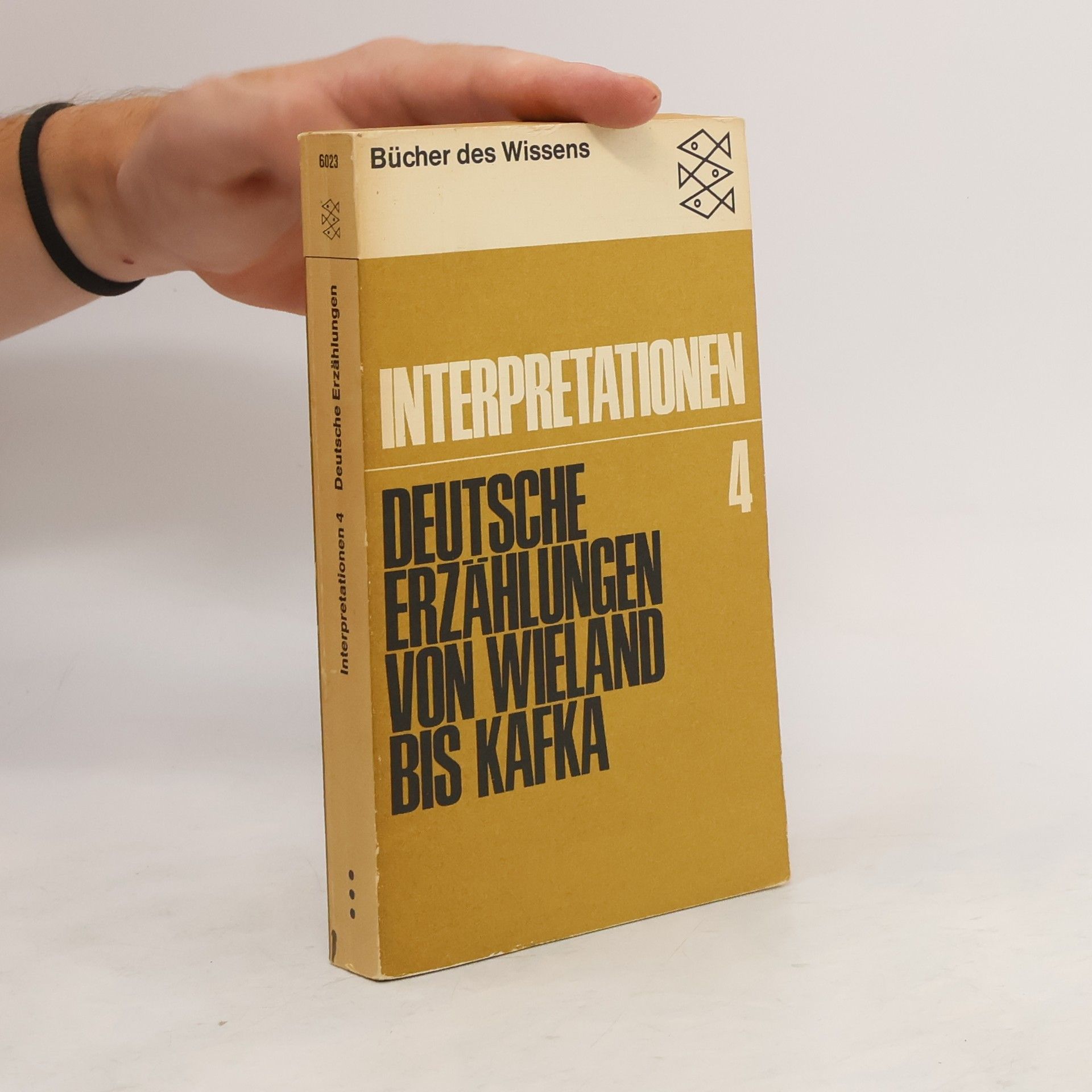 Jost Schillemeit Deutsche Erzählungen von Wieland bis Kafka