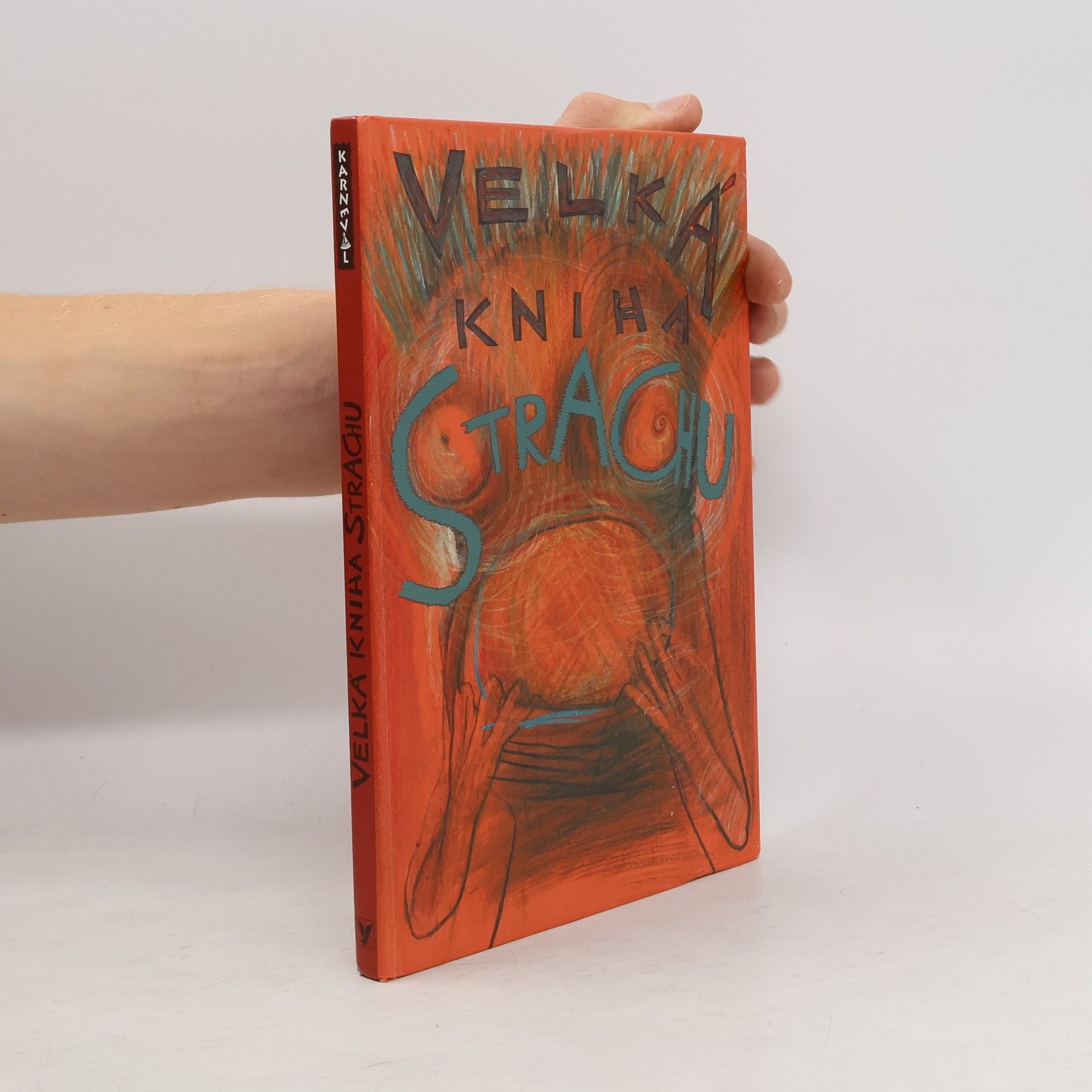 Veronika Bohatá Velká kniha strachu