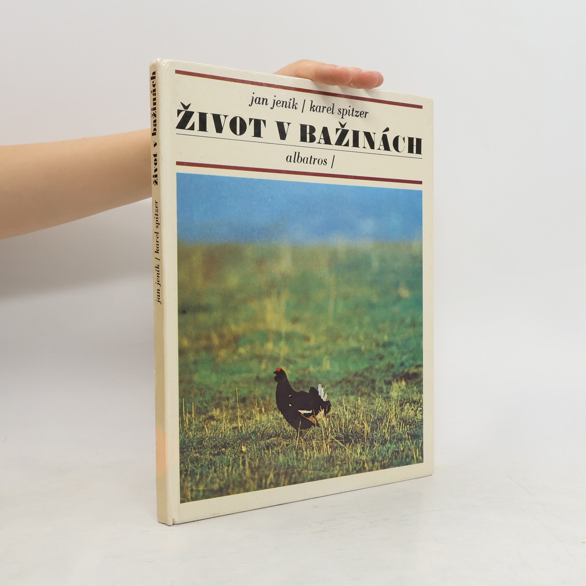 Jan Jeník Život v bažinách