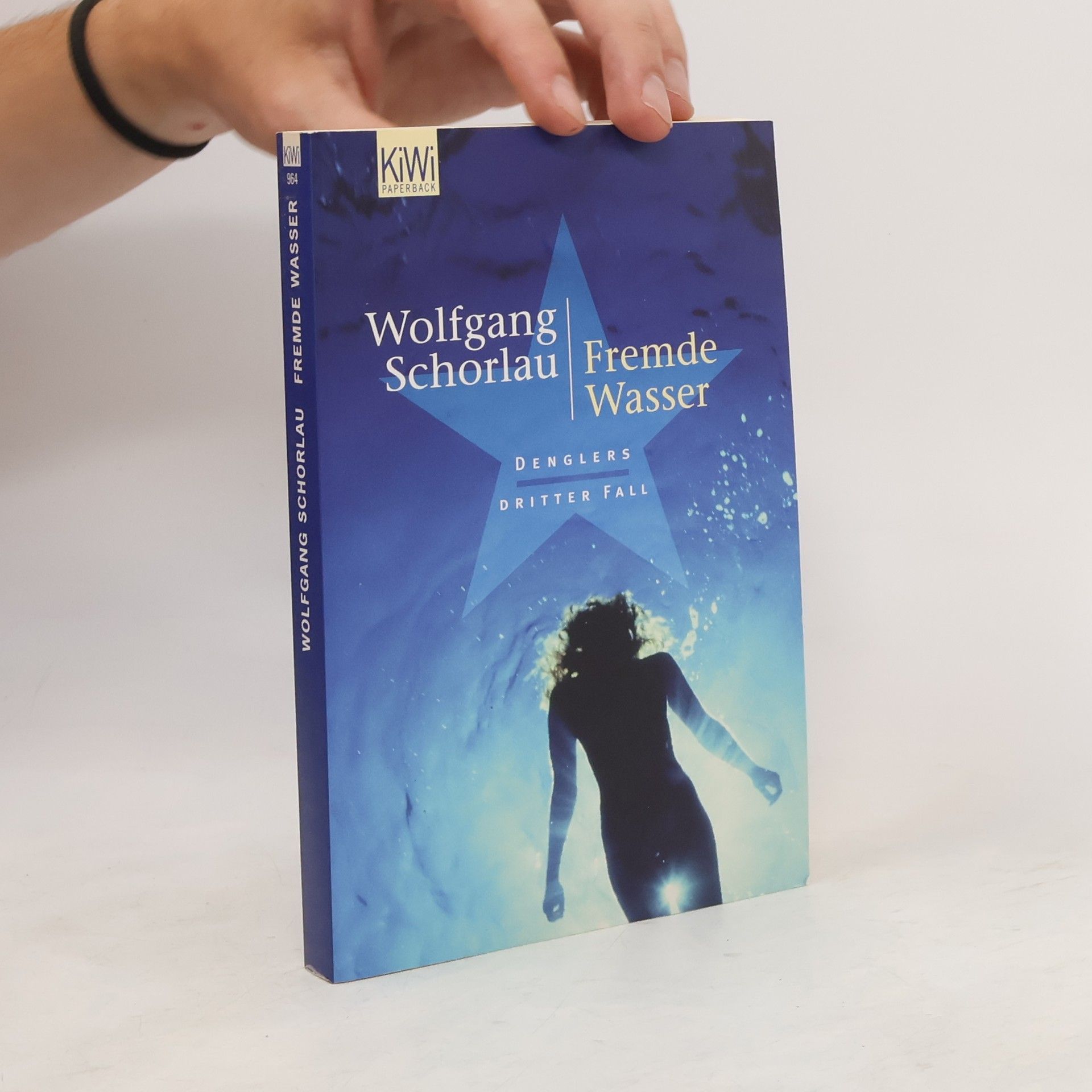 Wolfgang Schorlau Fremde Wasser