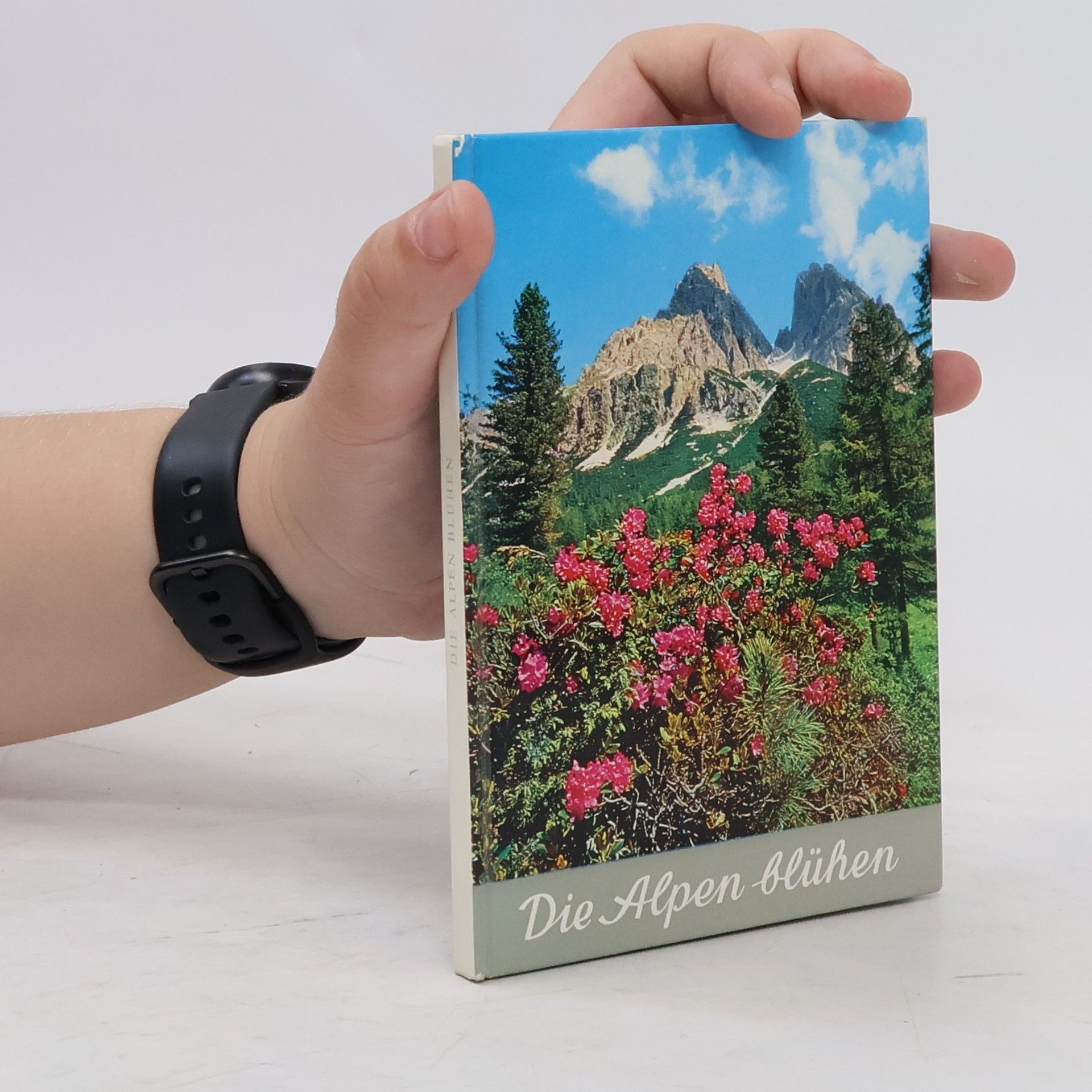 Elfrune Wendelberger Die Alpen blühen