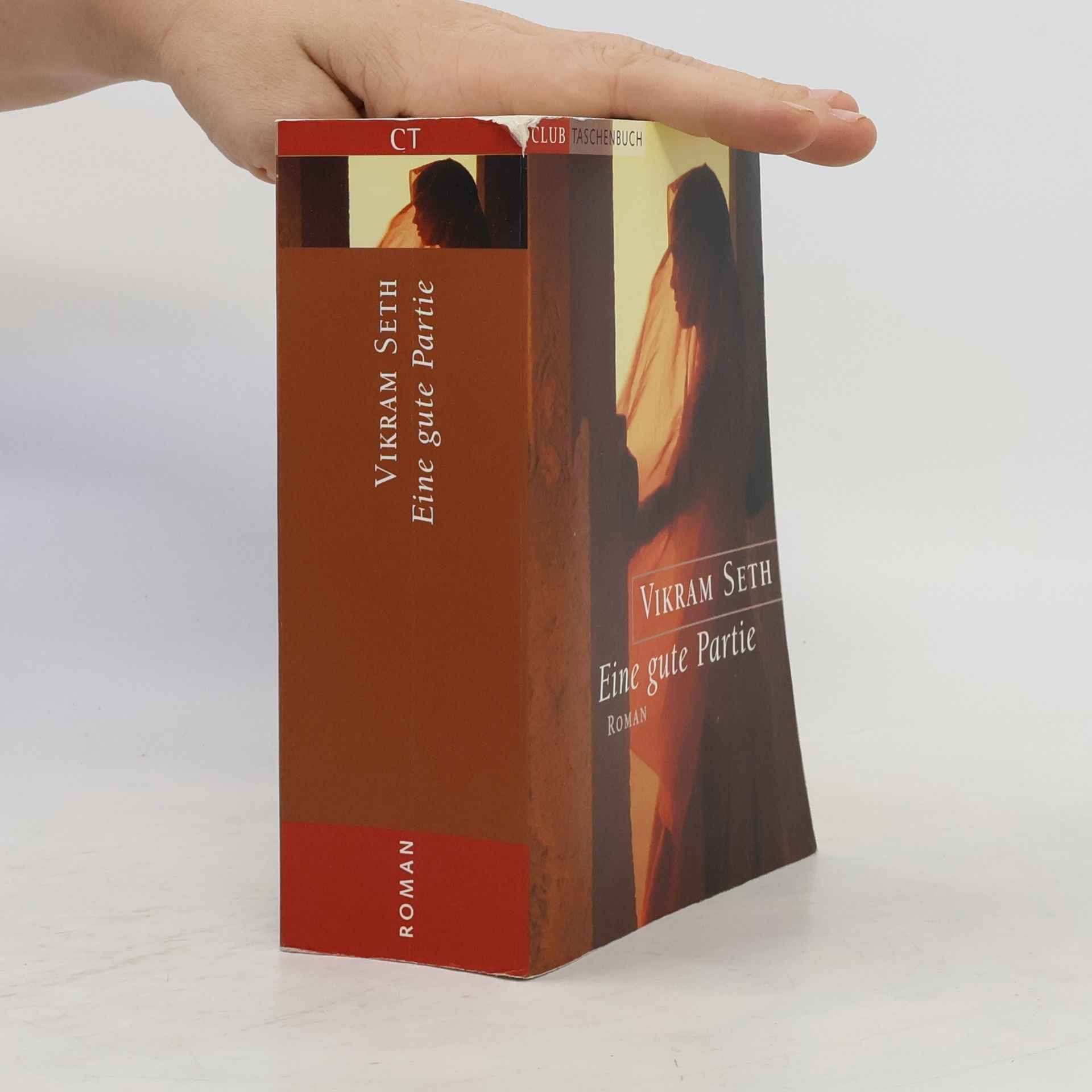 Vikram Seth Eine gute Partie