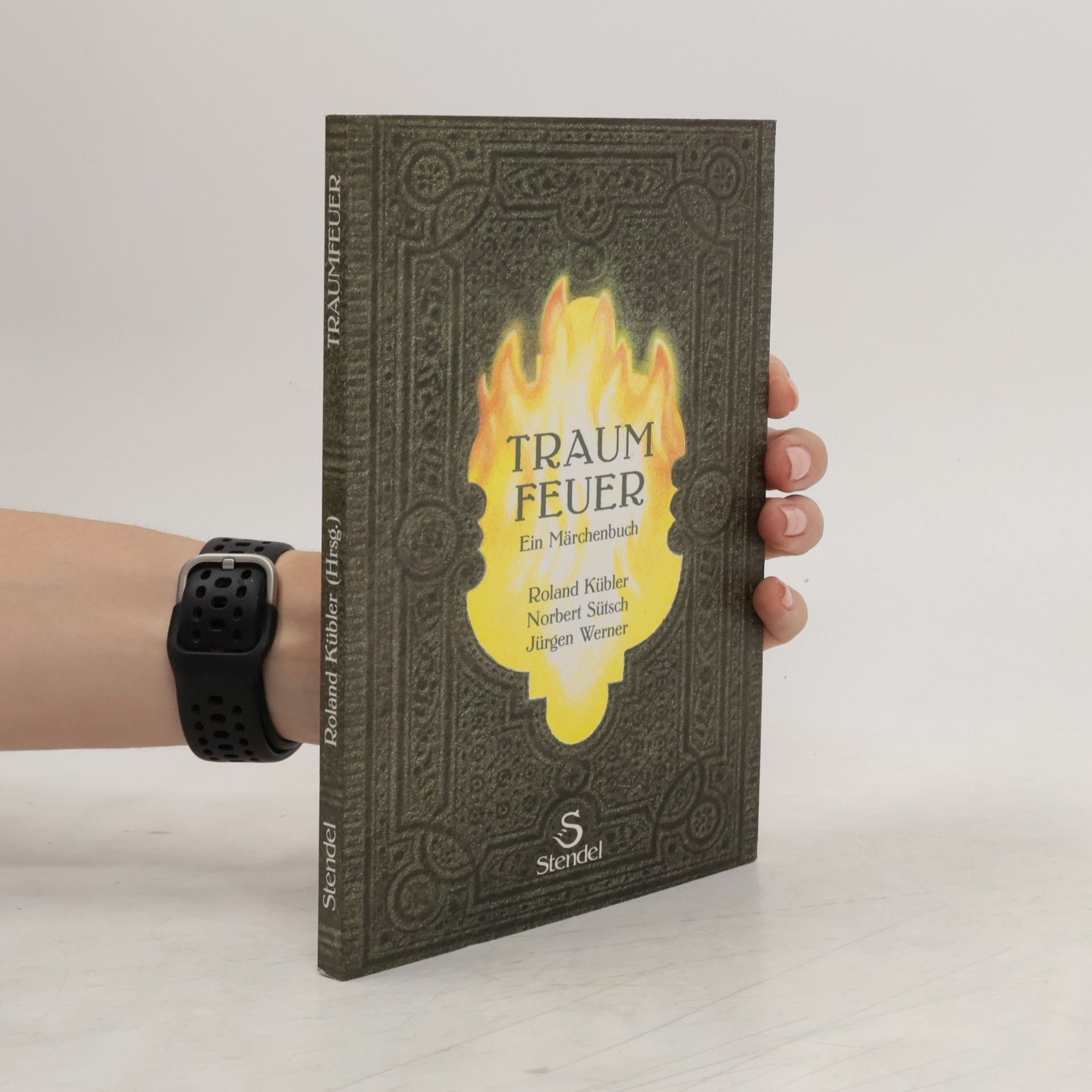 Norbert Suetsch Traumfeuer : ein Märchenbuch