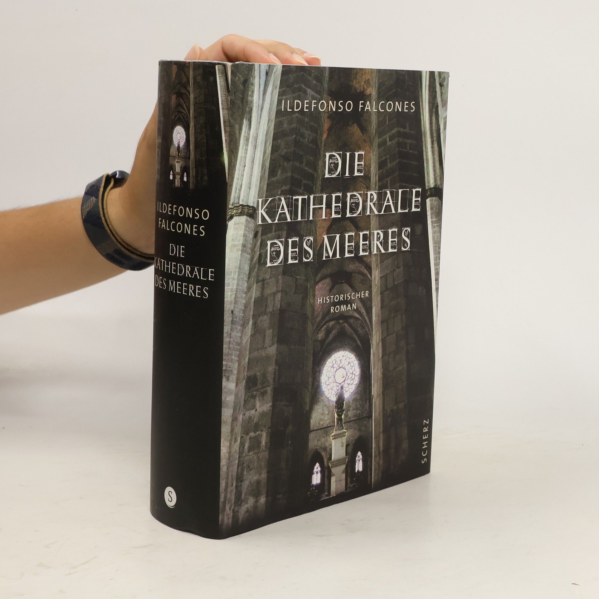Ildefonso Falcones Die Kathedrale des Meeres