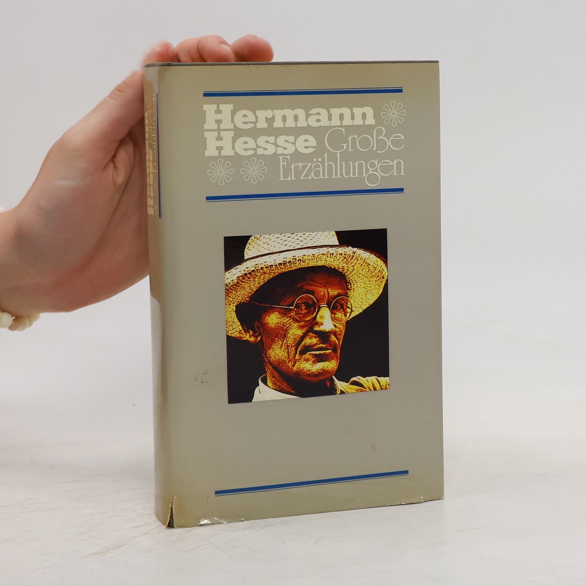 Hermann Hesse Große Erzählungen