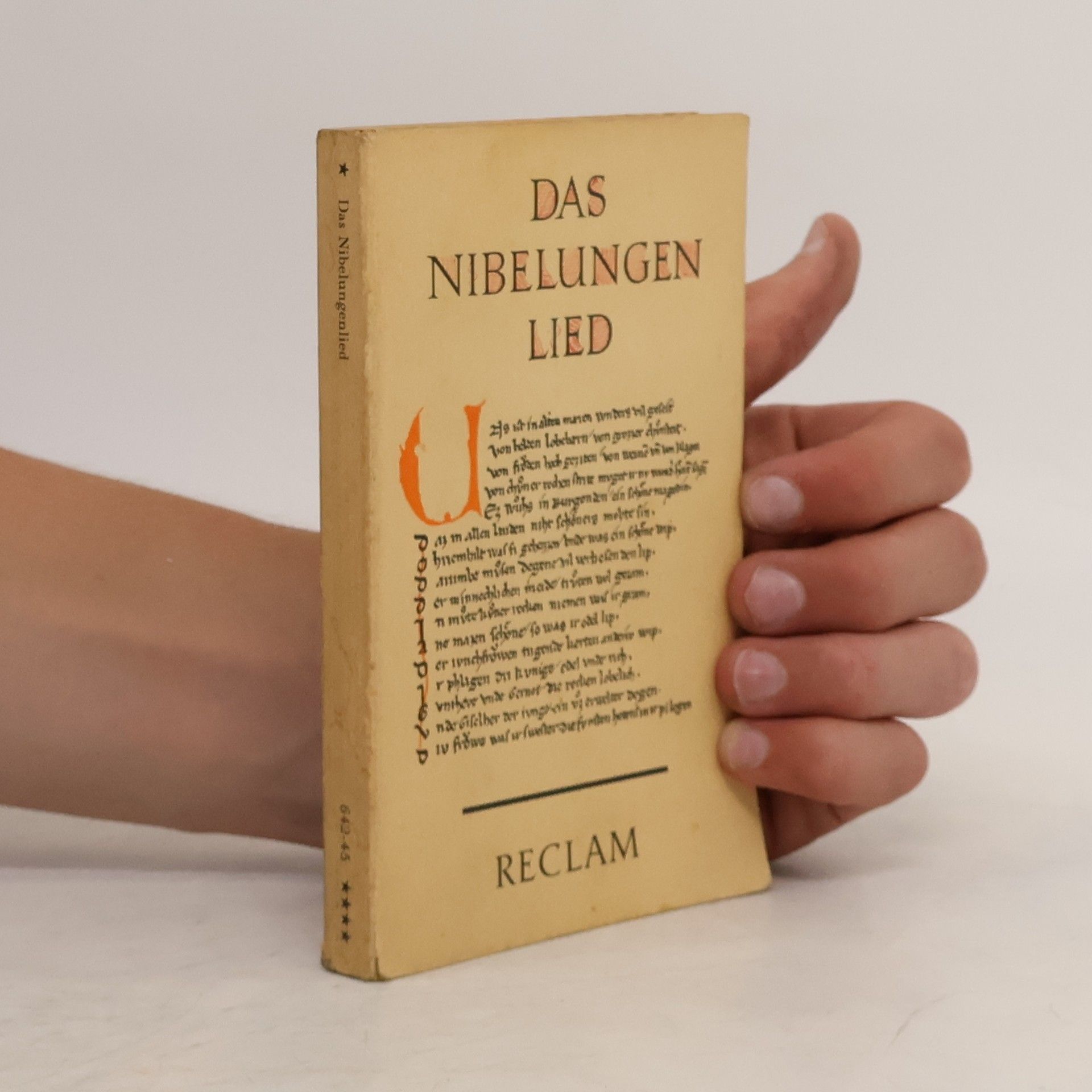Collectif d'auteurs Das Nibelungenlied