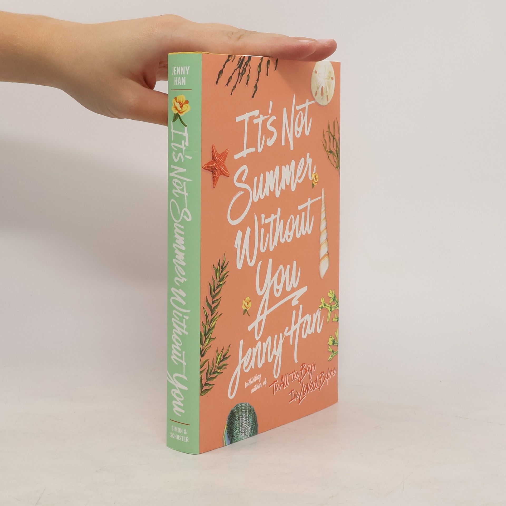 Jenny Han It's Not Summer Without You