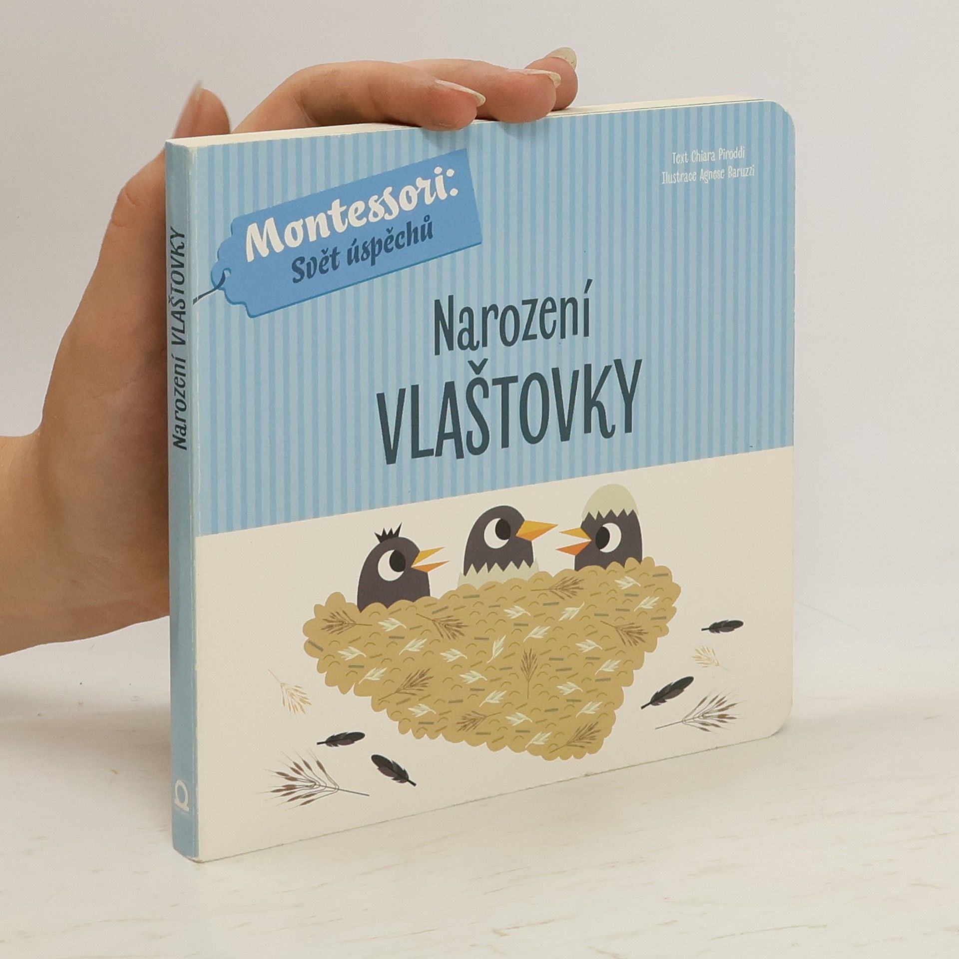Chiara Piroddi Narození vlaštovky