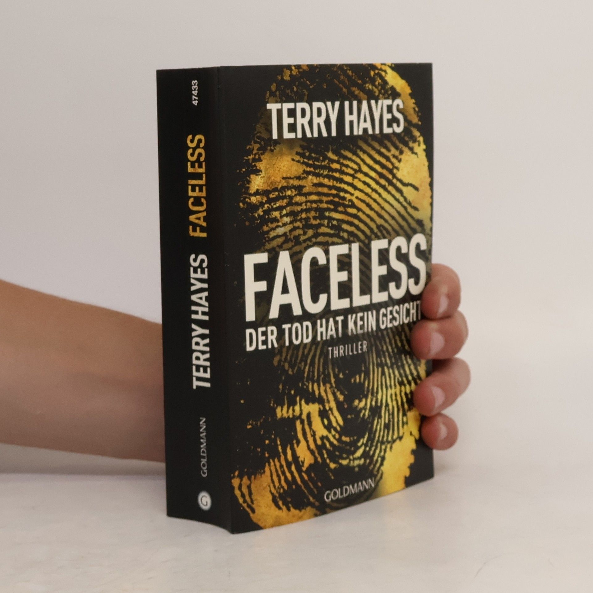 Terry Hayes Faceless