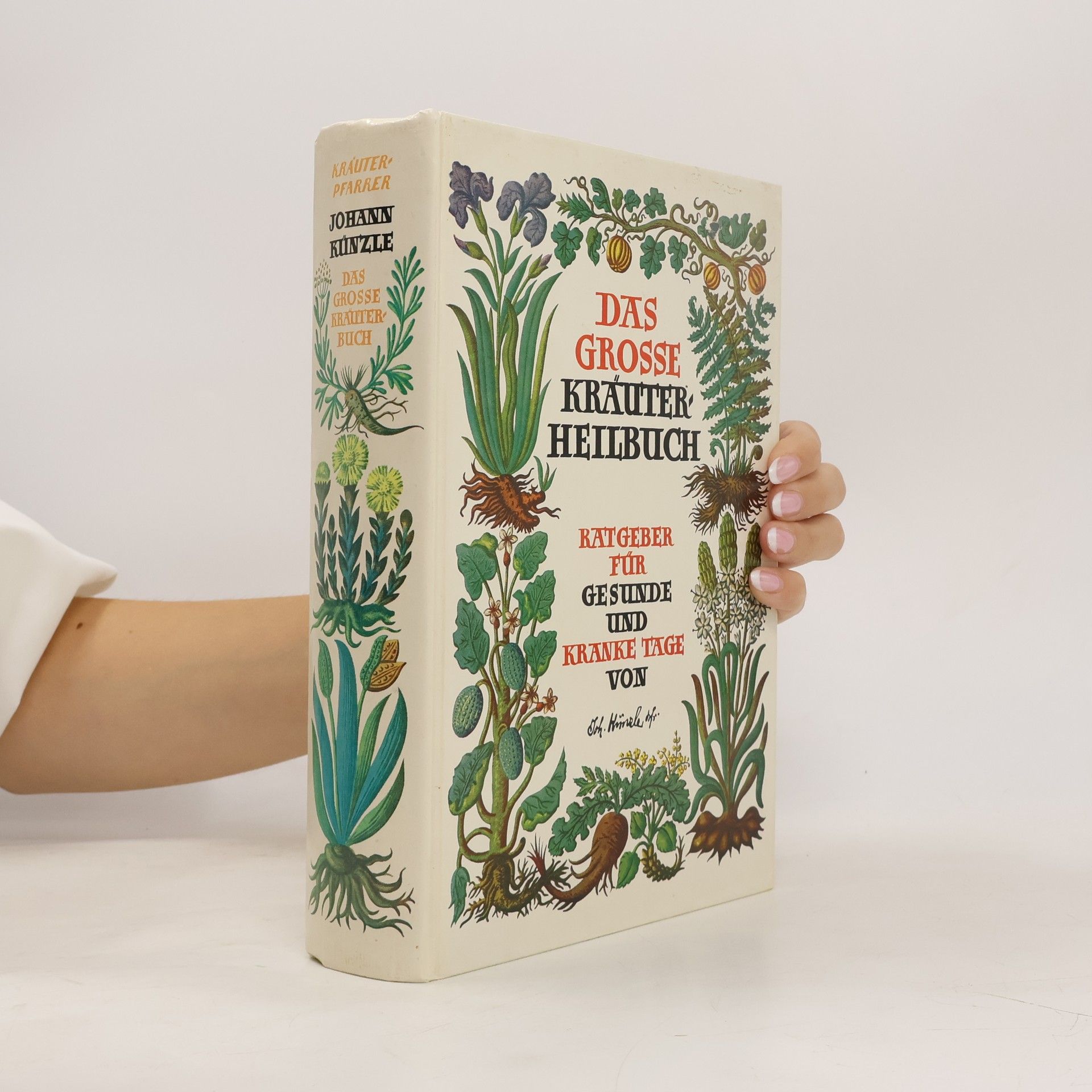 Johann Künzle Das Grosse Kräuter Heilbuch