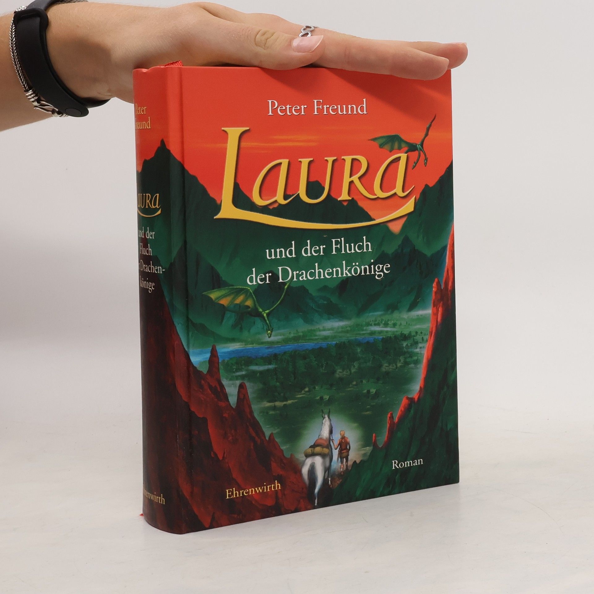 Laura und der Fluch der Drachenkönige