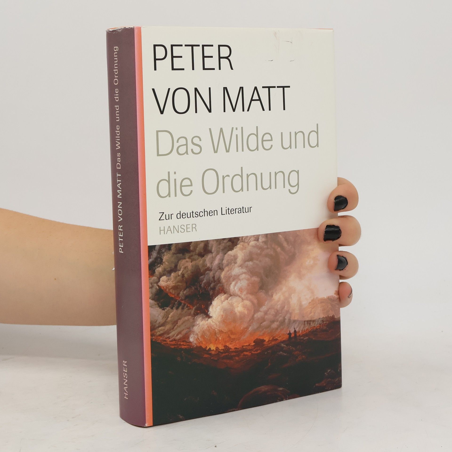 Peter Matt Das Wilde und die Ordnung: zur deutschen Literatur