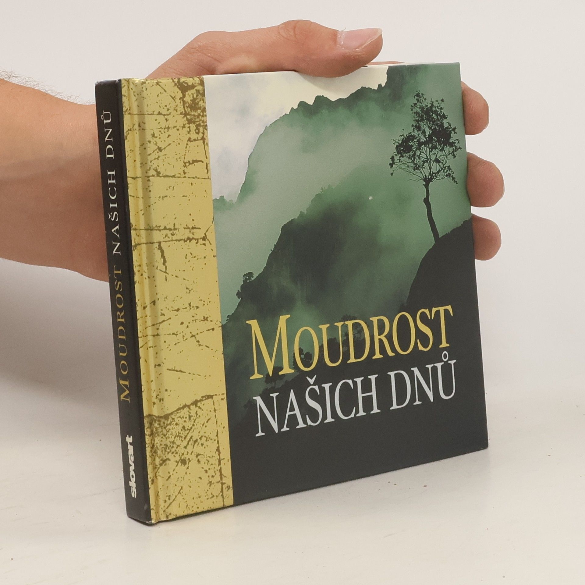 Collectif d'auteurs Moudrost našich dnů
