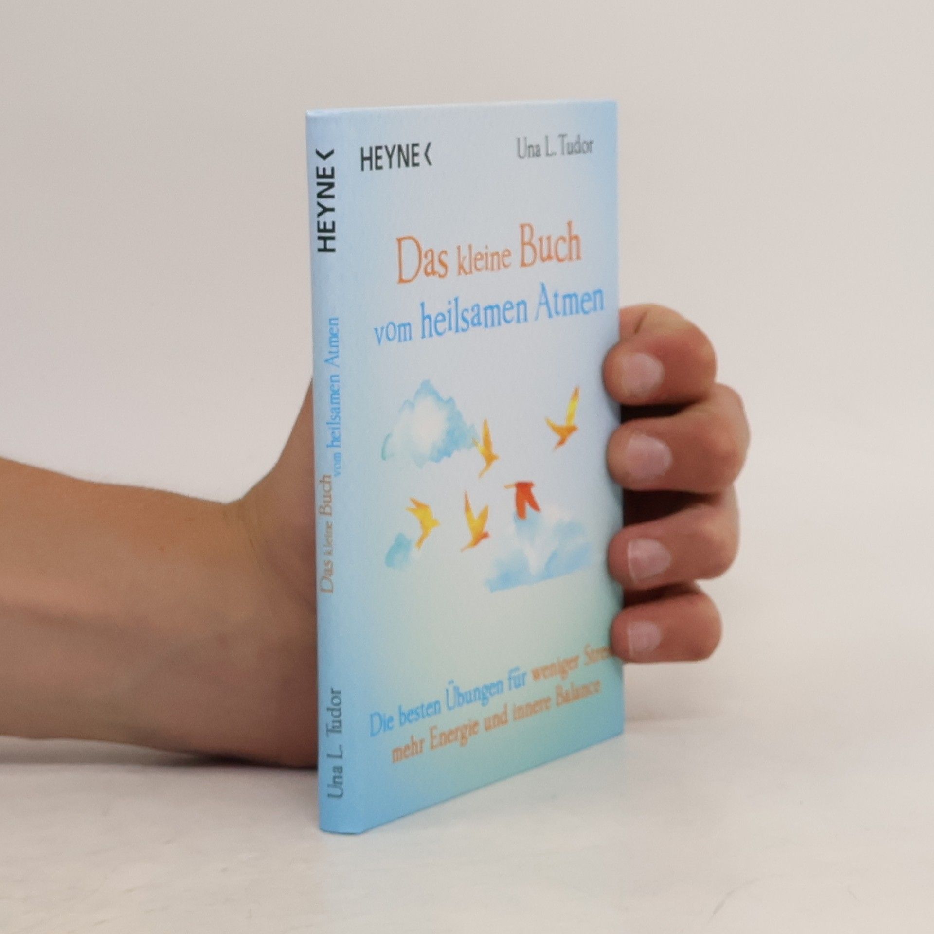 Una L. Tudor Das kleine Buch vom heilsamen Atmen. Die besten Übungen für weniger Stress, mehr Energie und innere Balance
