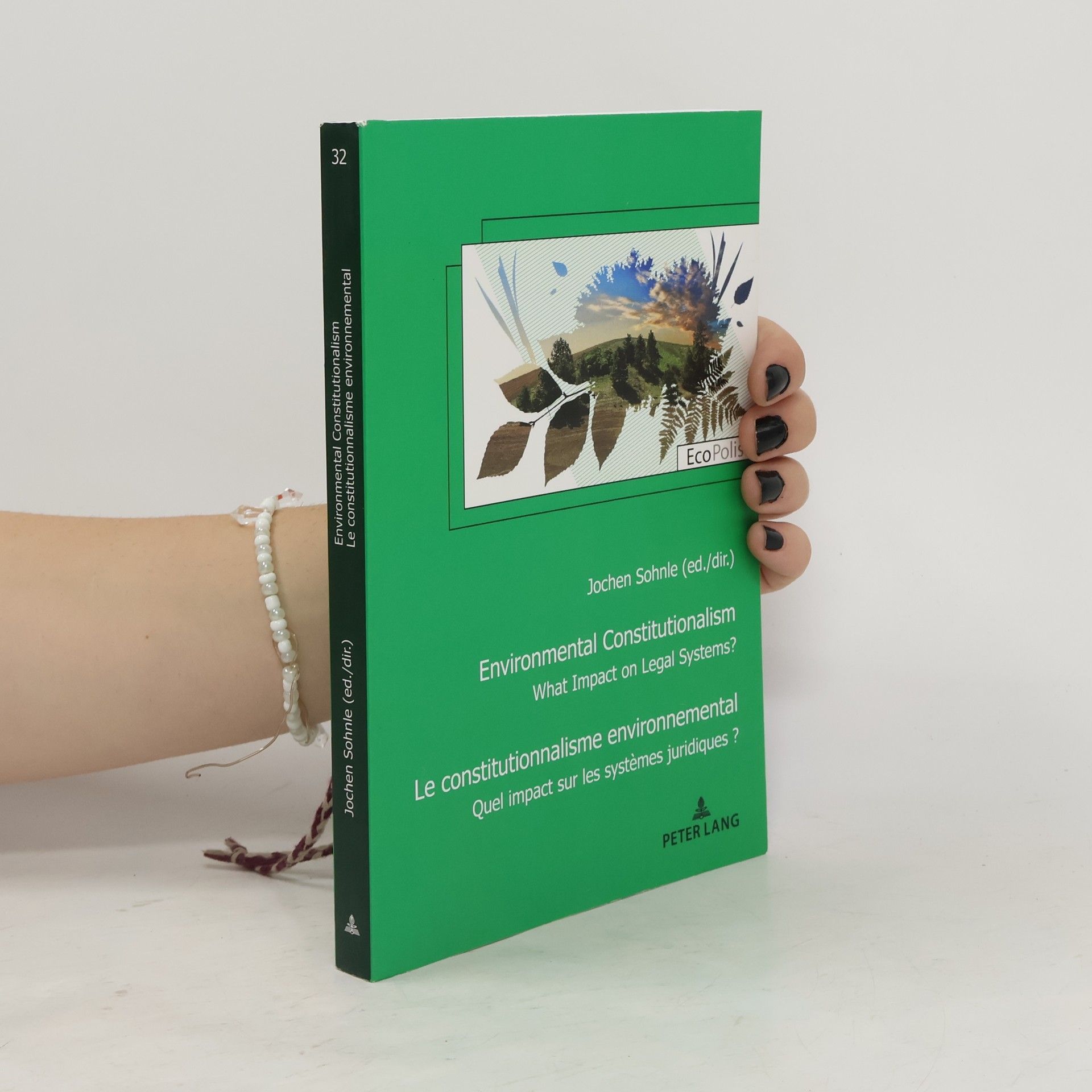 Jochen Sohnle Environmental constitutionalism