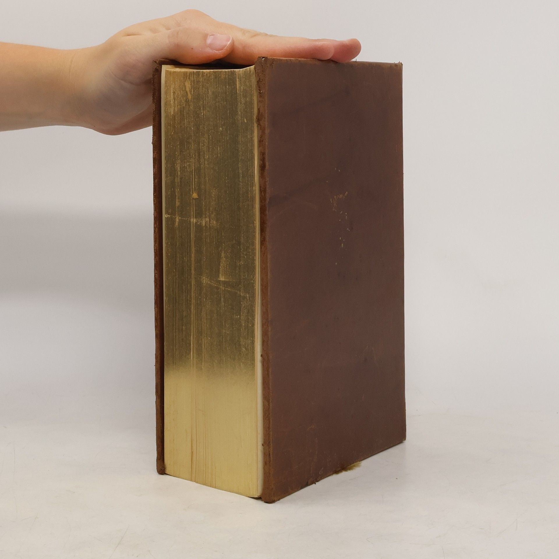 Autorenkollektiv Familien Bibel