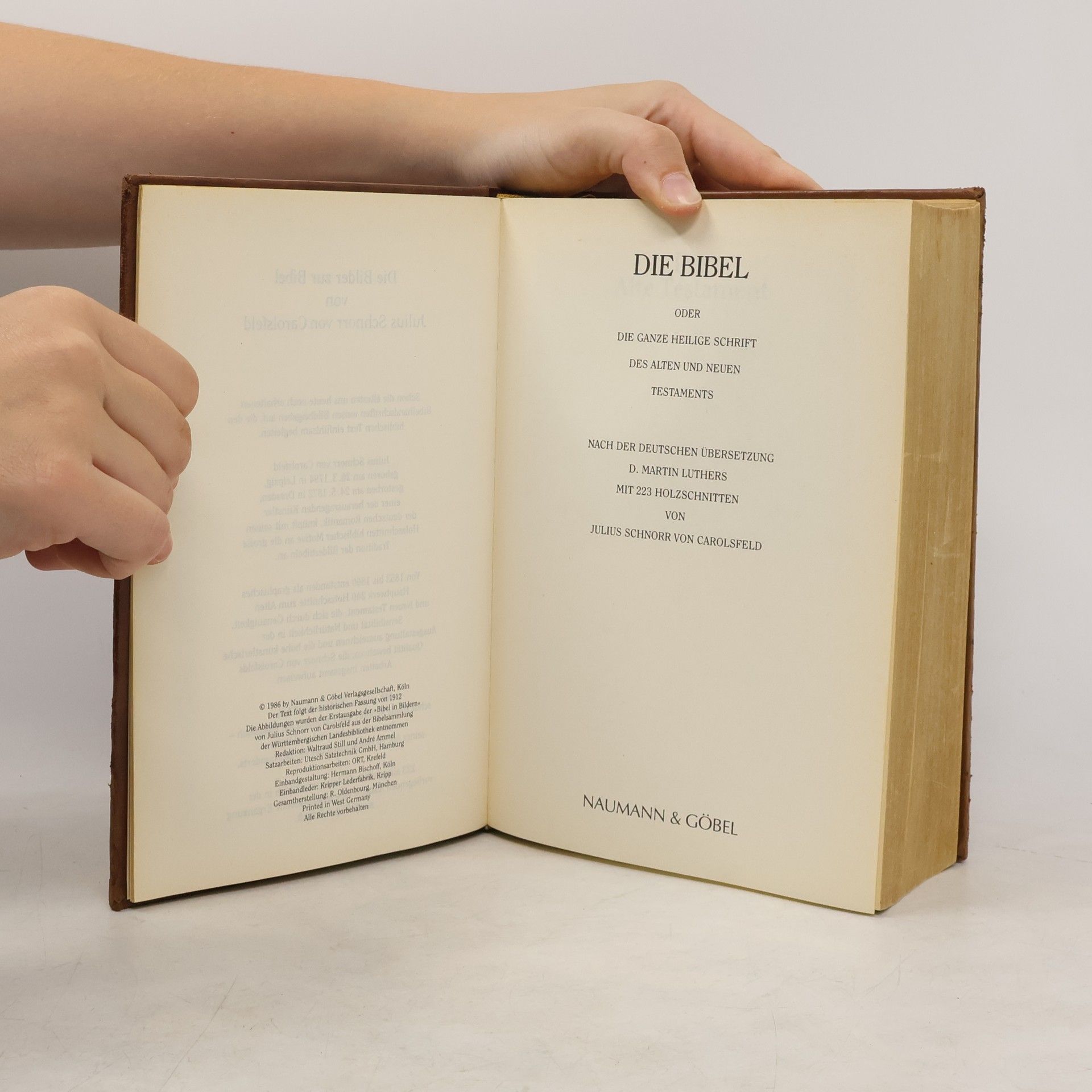 Autorenkollektiv Familien Bibel