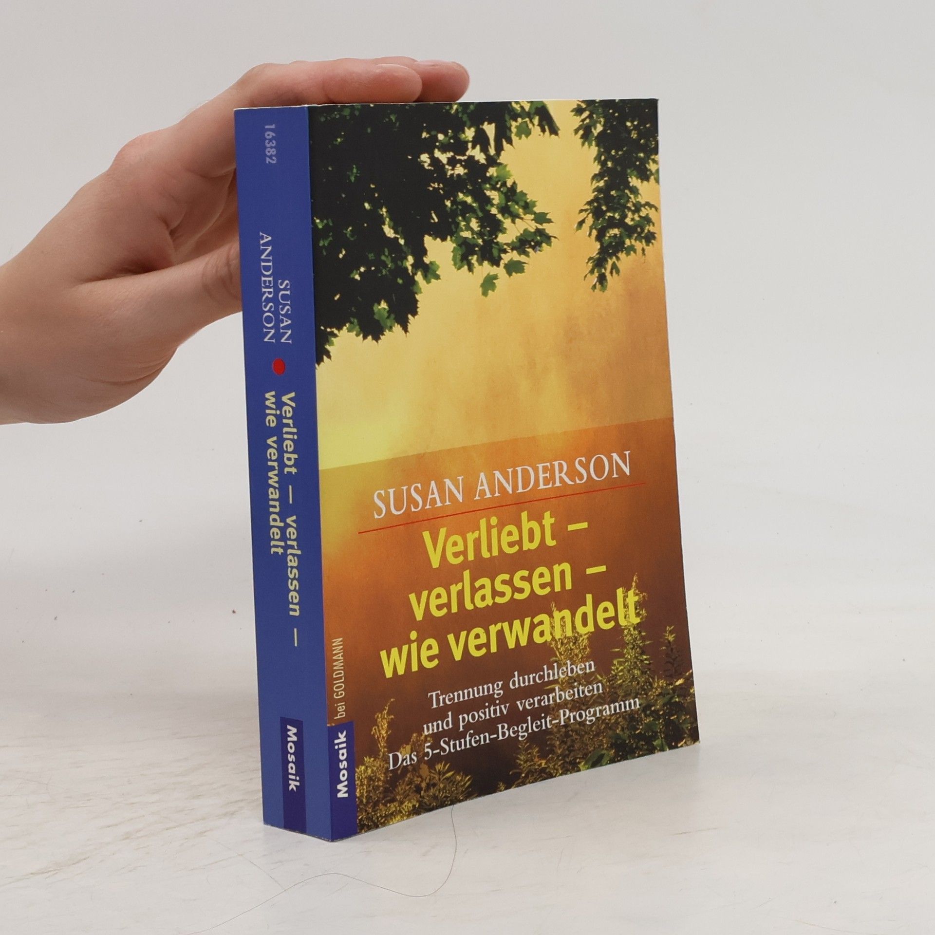 Susan Anderson-Freed Verliebt - verlassen - wie verwandelt