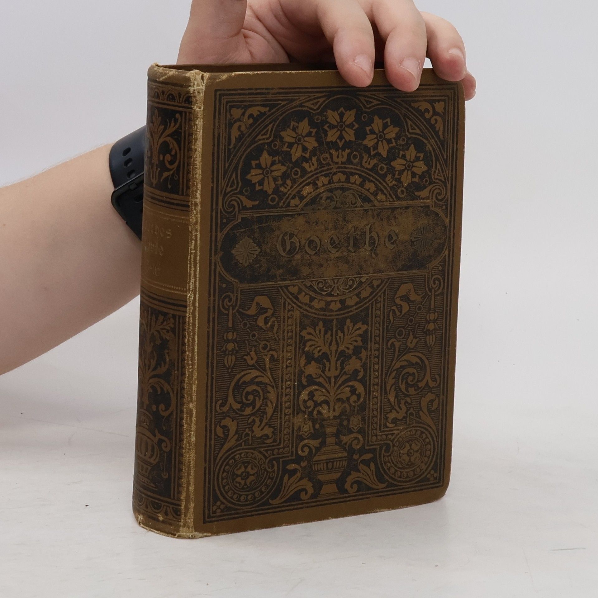 Johann Wolfgang von Goethe Goethes Werke 13
