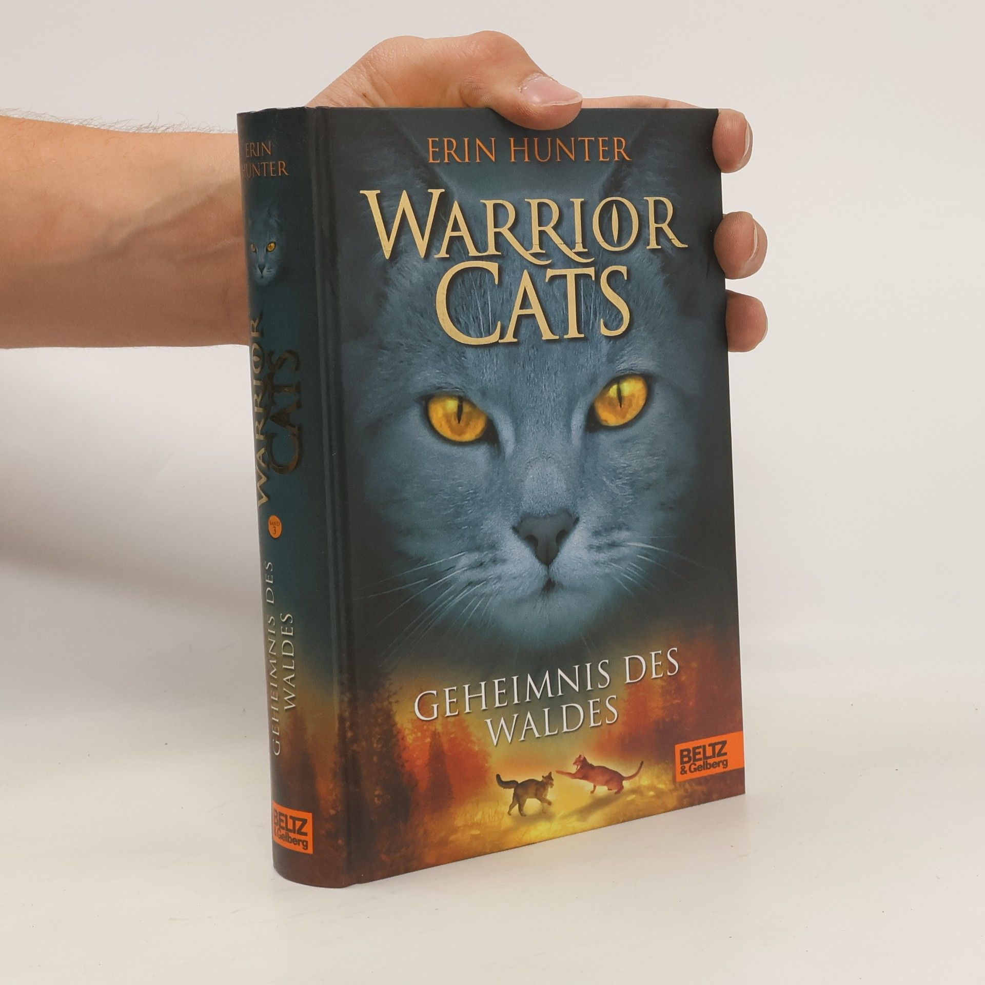 Erin Hunter Warrior Cats. Geheimnis des Waldes.