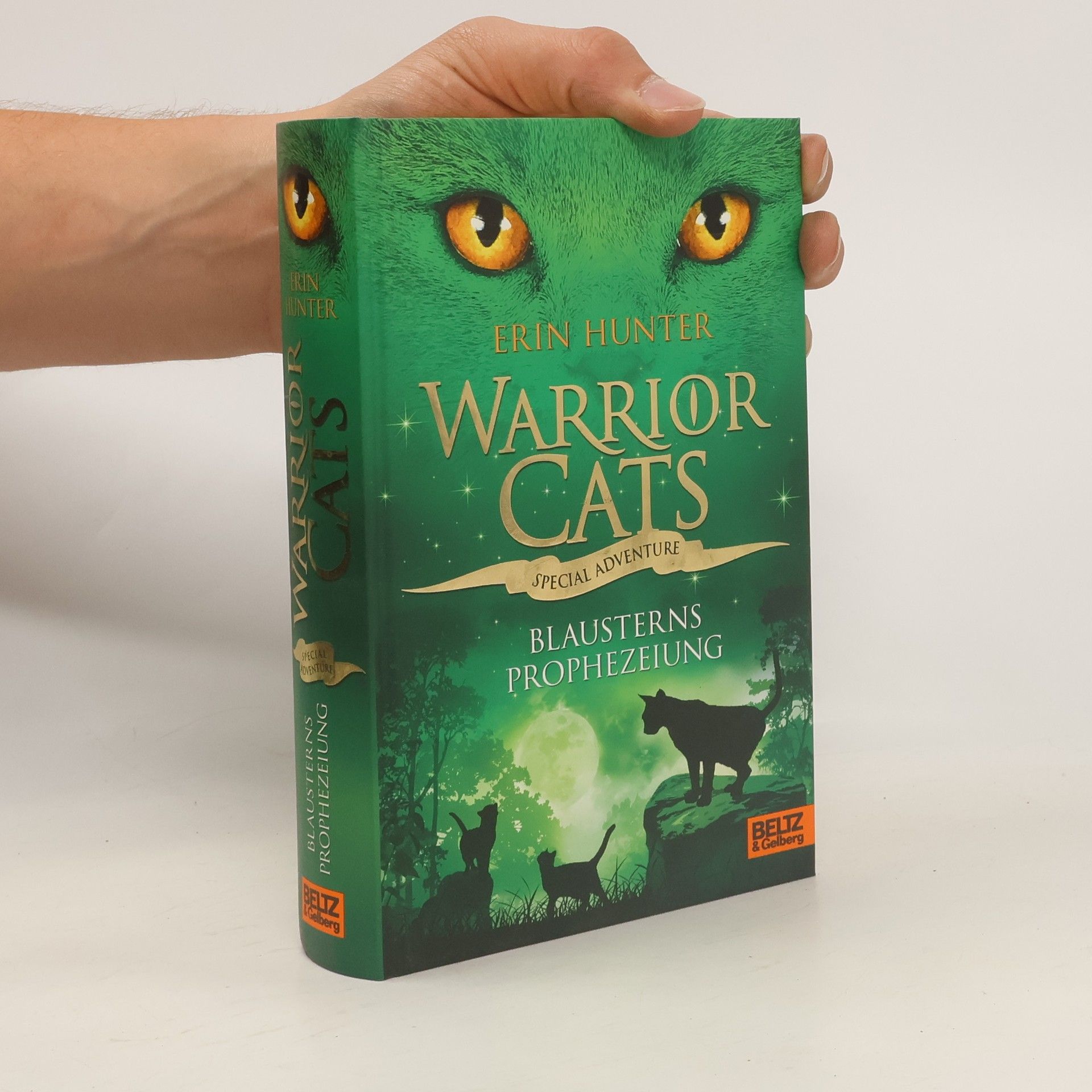 Erin Hunter Warrior cats. Special Adventure