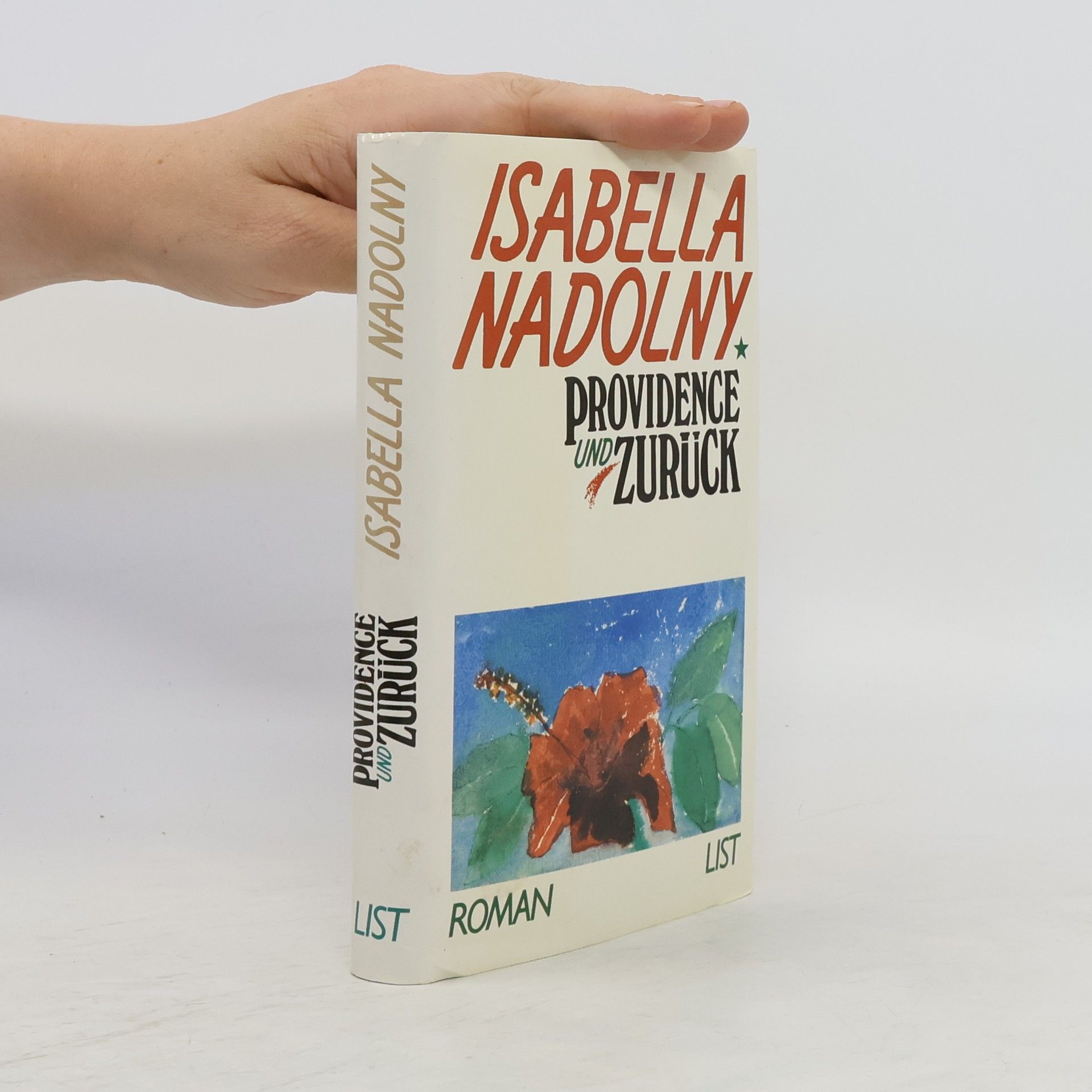 Isabella Nadolny Providence und zurück. Roman