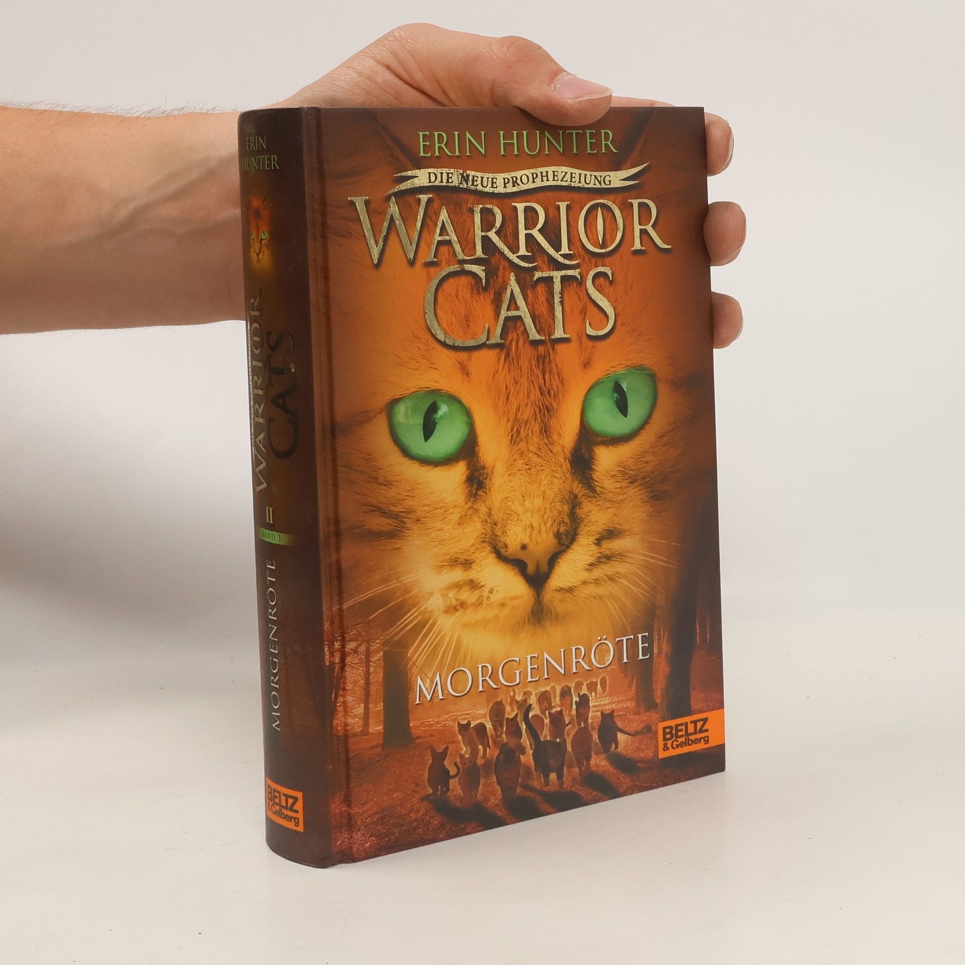 Erin Hunter Warrior Cats - Morgenröte
