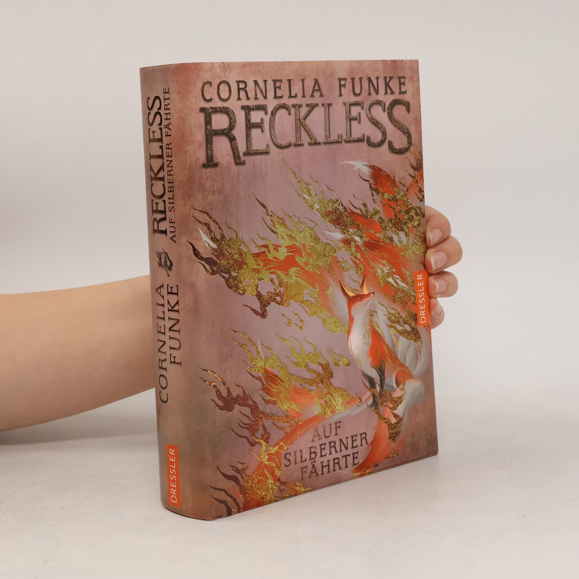 Cornelia Funke Reckless 4. Auf silberner Fährte