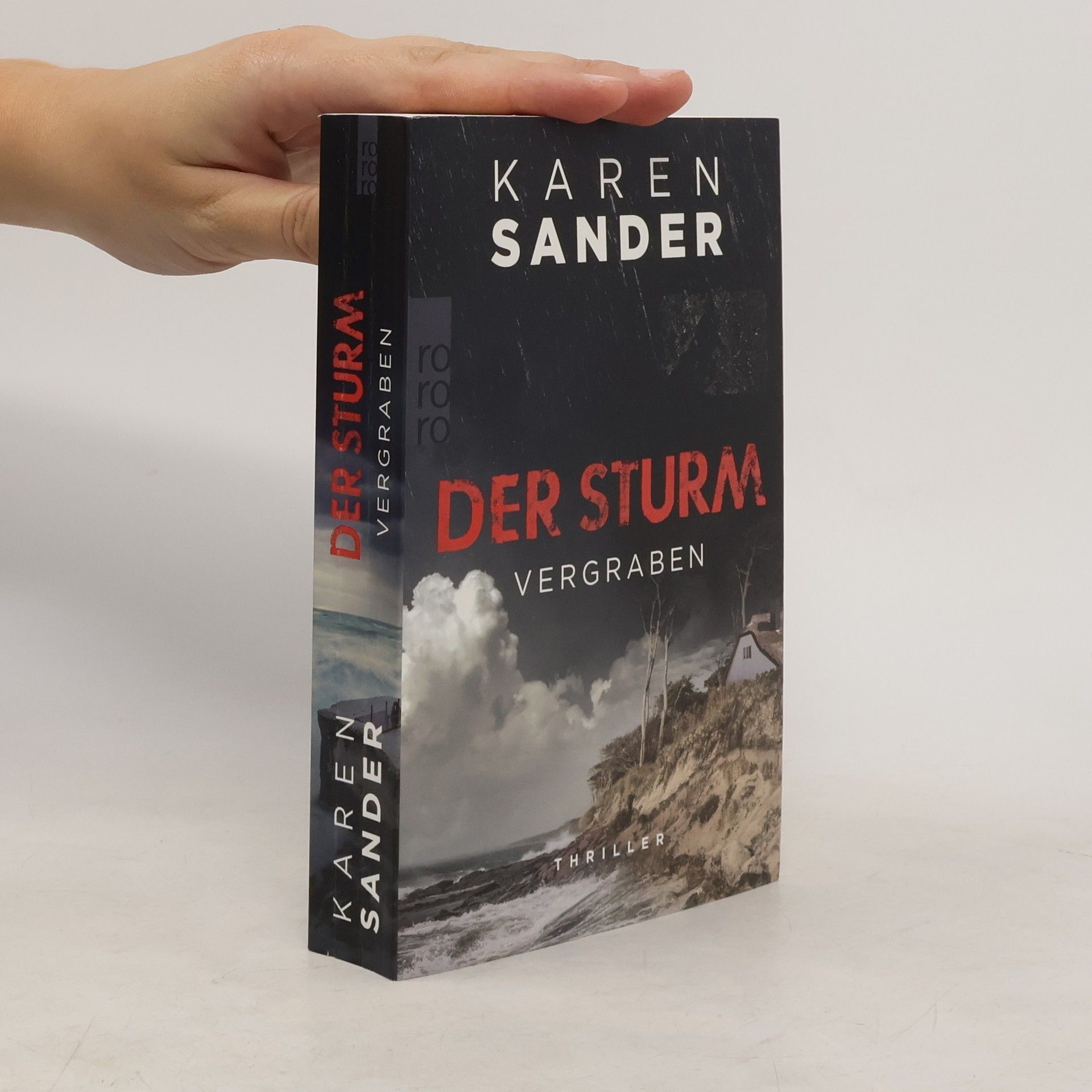 Sabine Martin Der Sturm. Vergraben