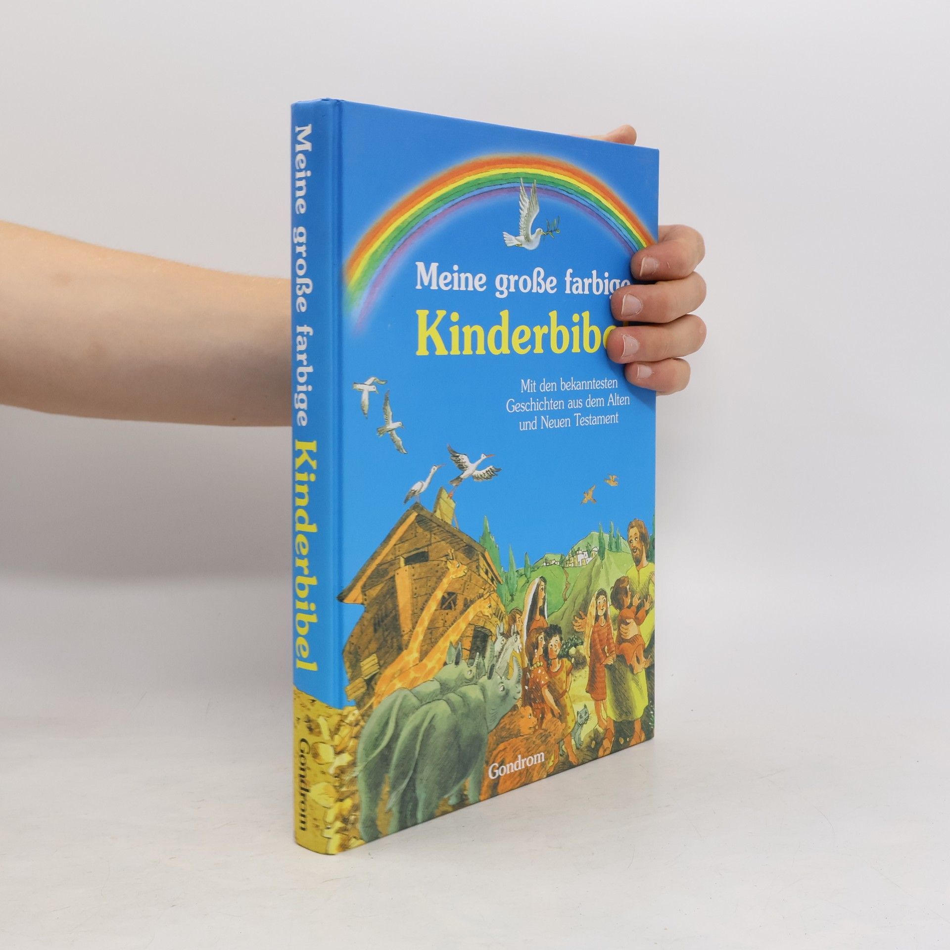 Detlev Block Meine große farbige Kinderbibel