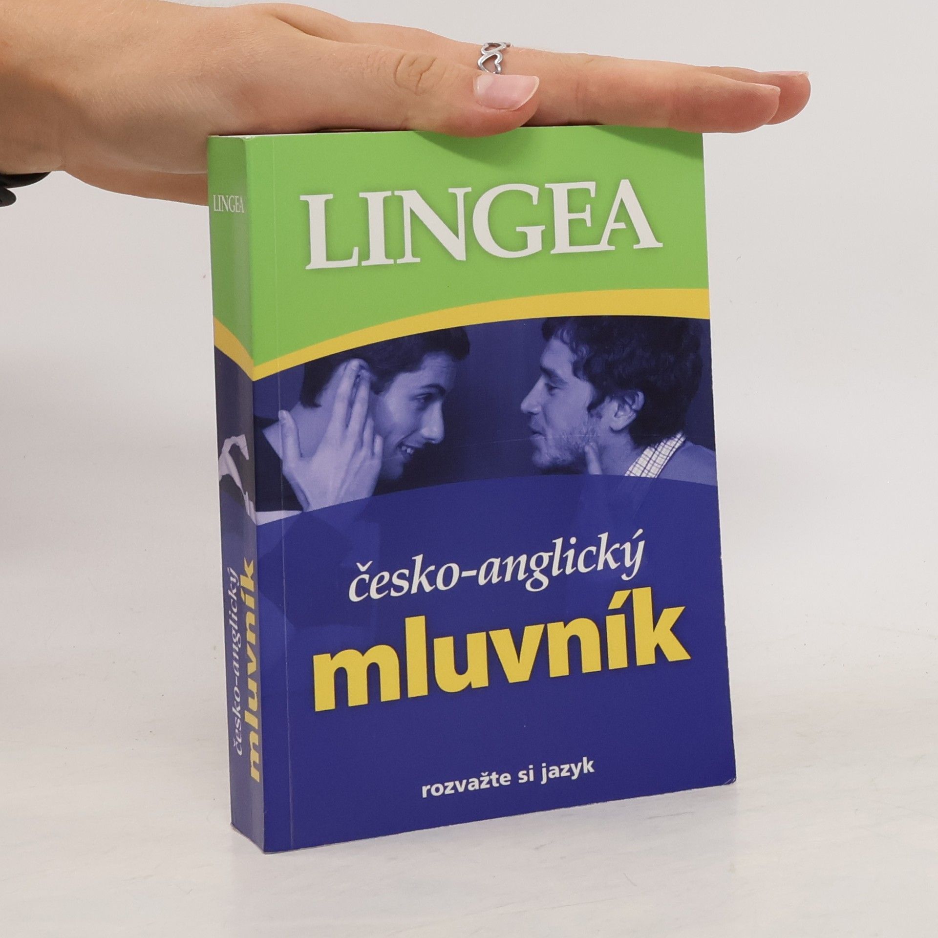 Kolektiv autorů Česko-anglický mluvník