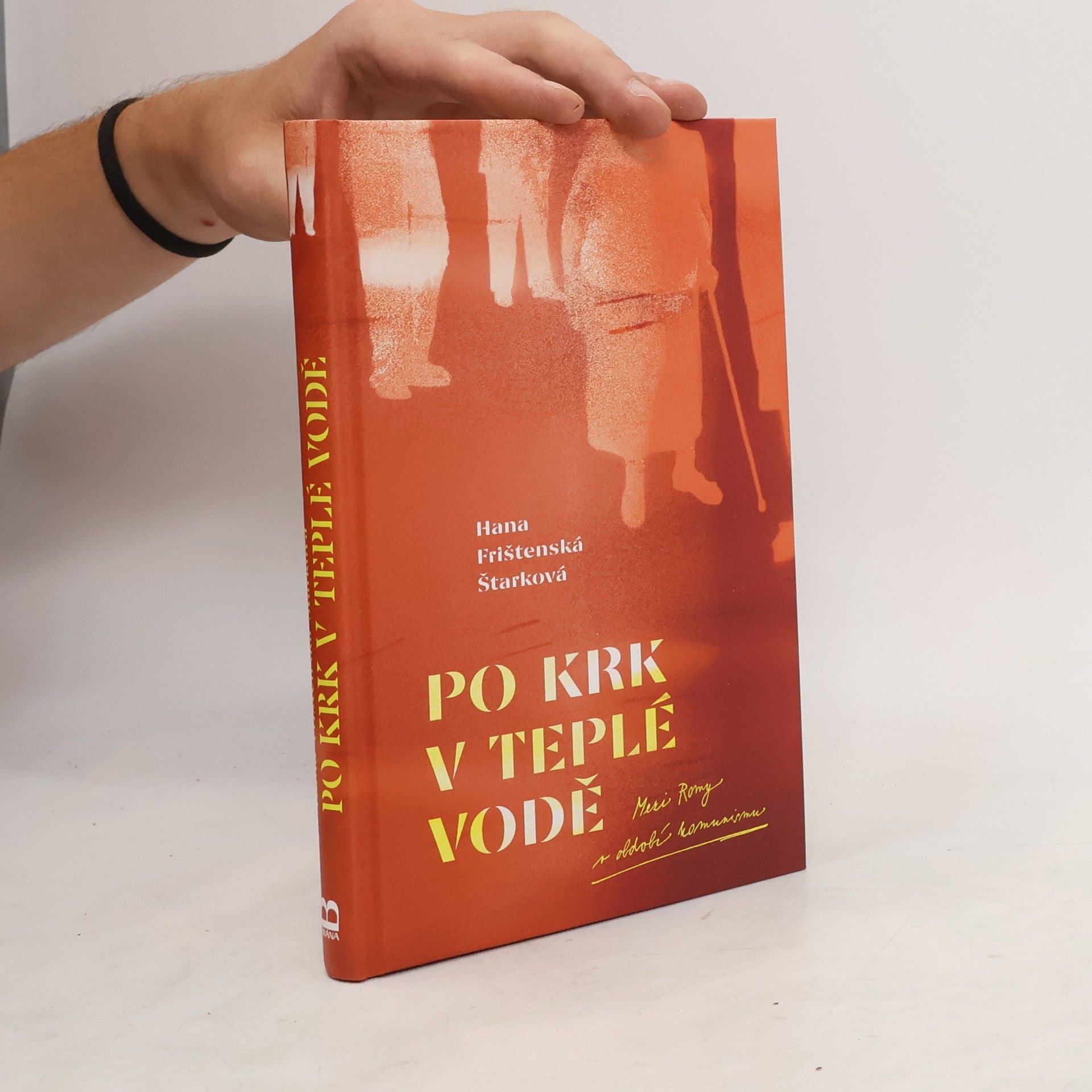 Hana Frištenská Štarková Po krk v teplé vodě