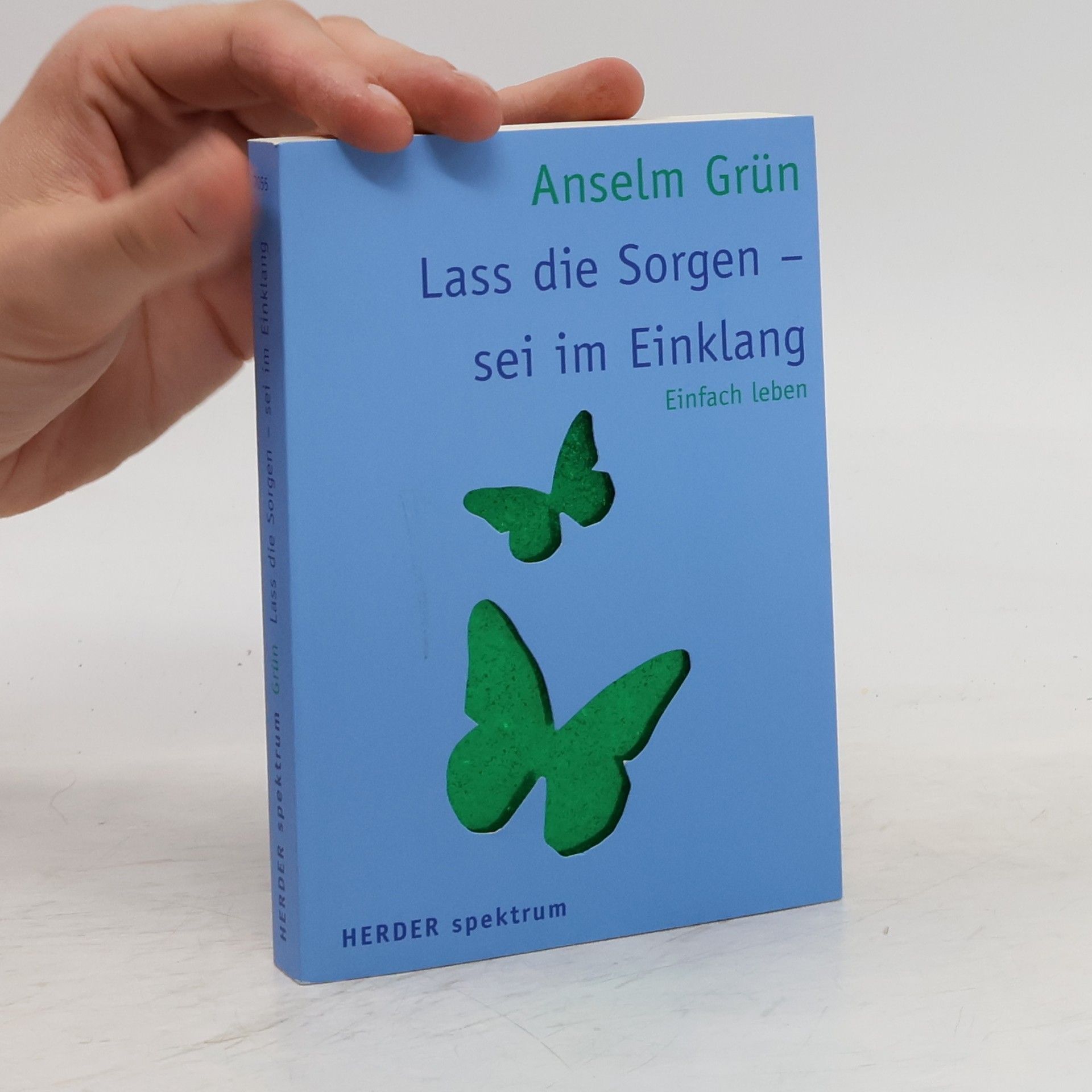 Anselm Grün Lass die Sorgen - sei im Einklang