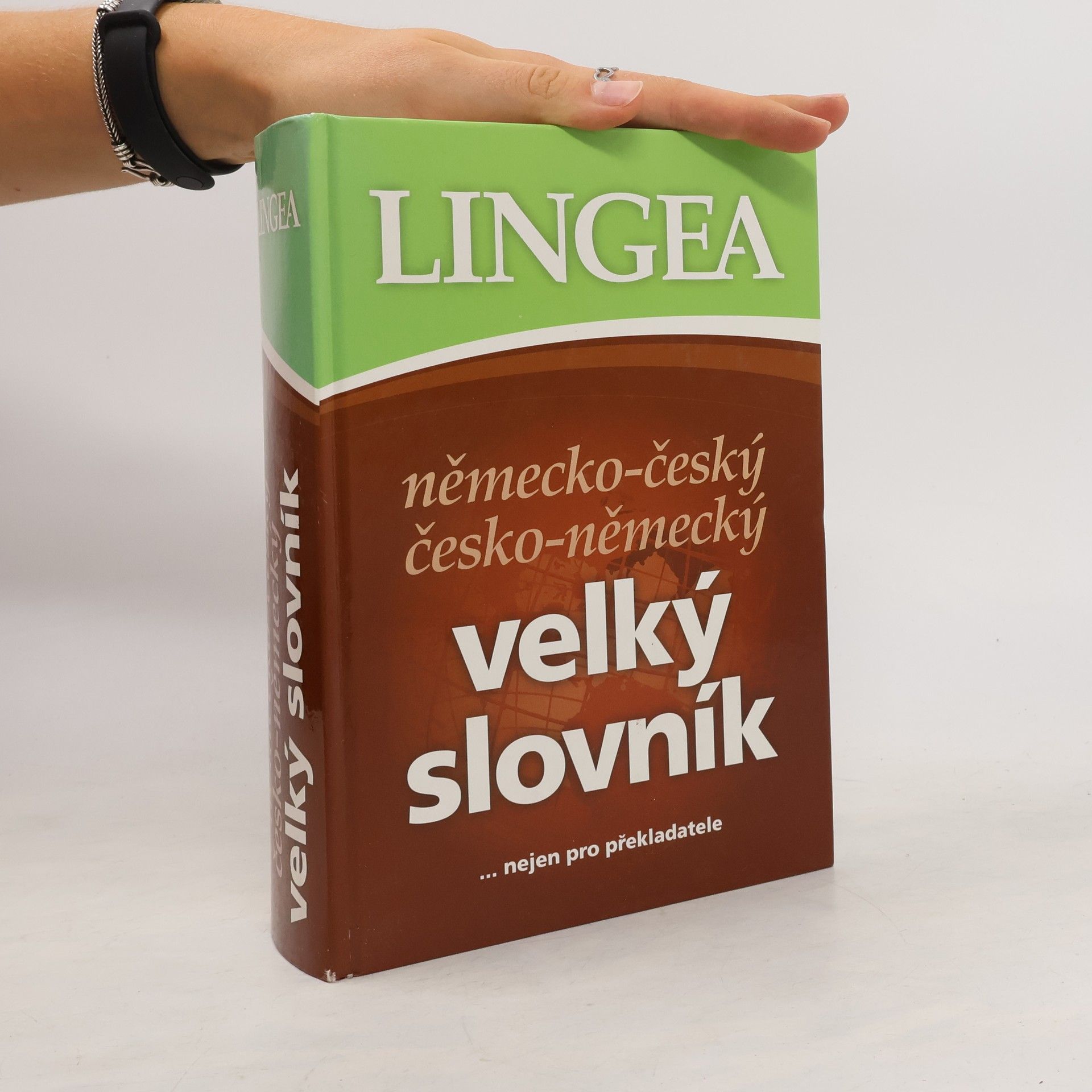 Autorenkollektiv Německo-český česko-německý velký slovník