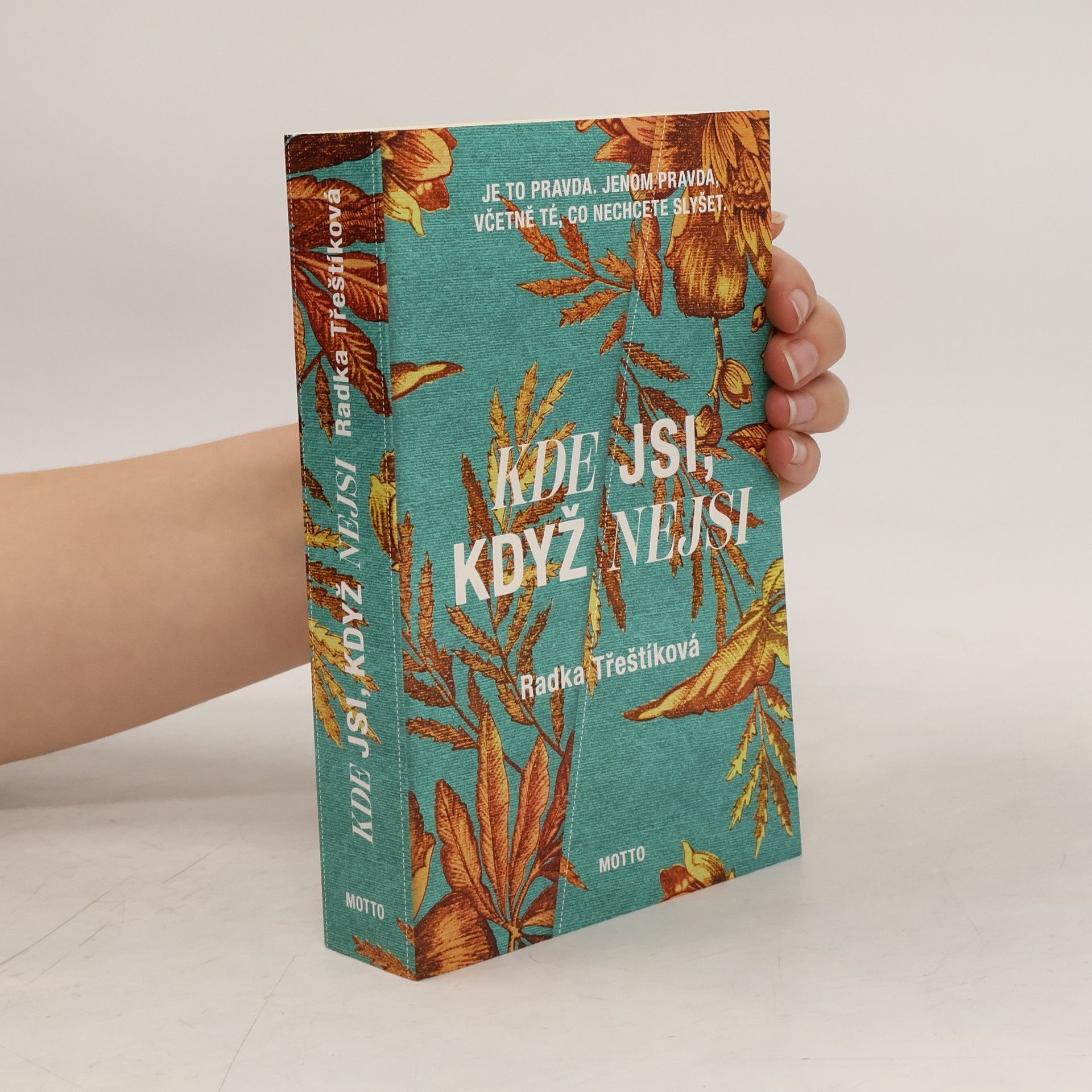 Radka Třeštíková Kde jsi, když nejsi