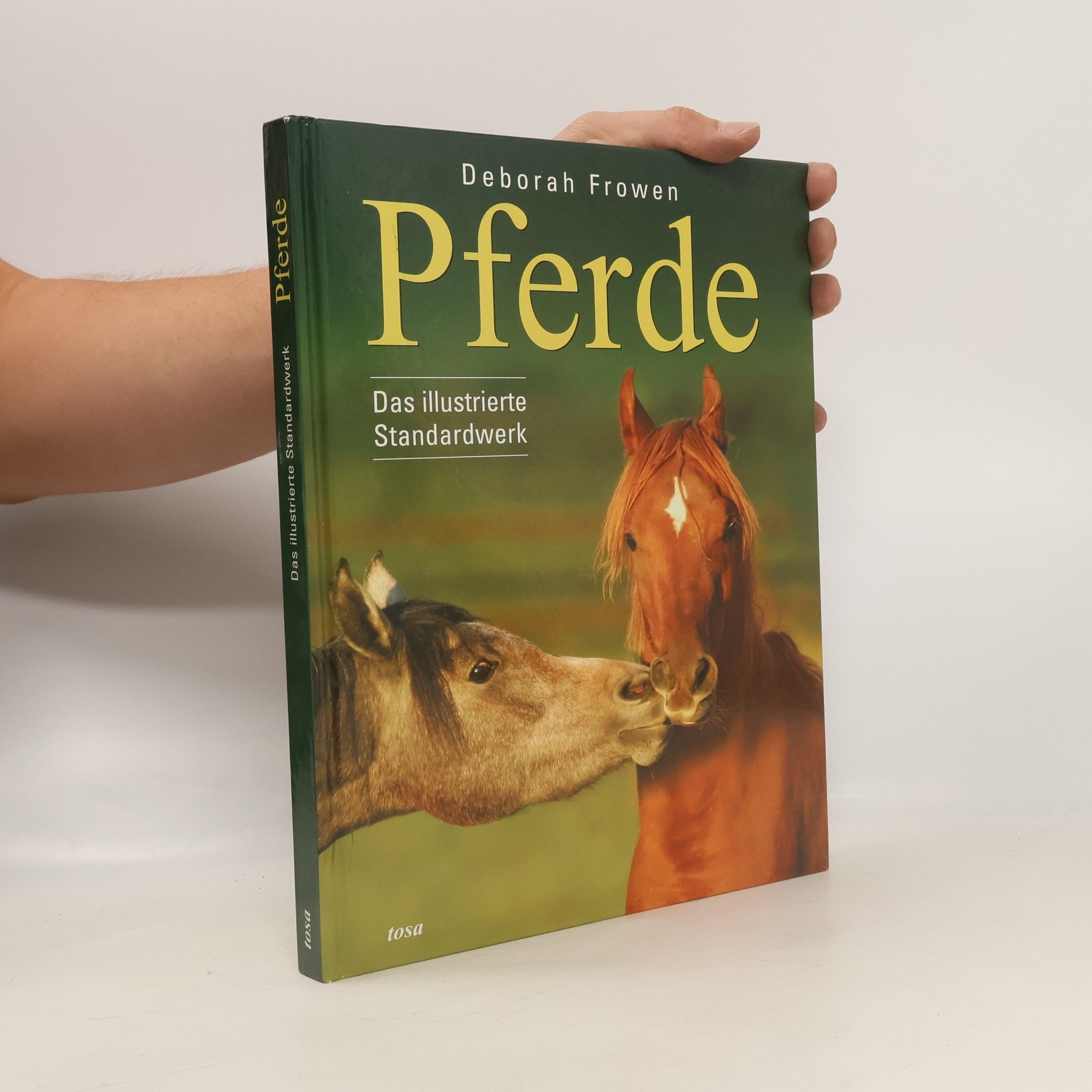 Deborah Frowen Pferde