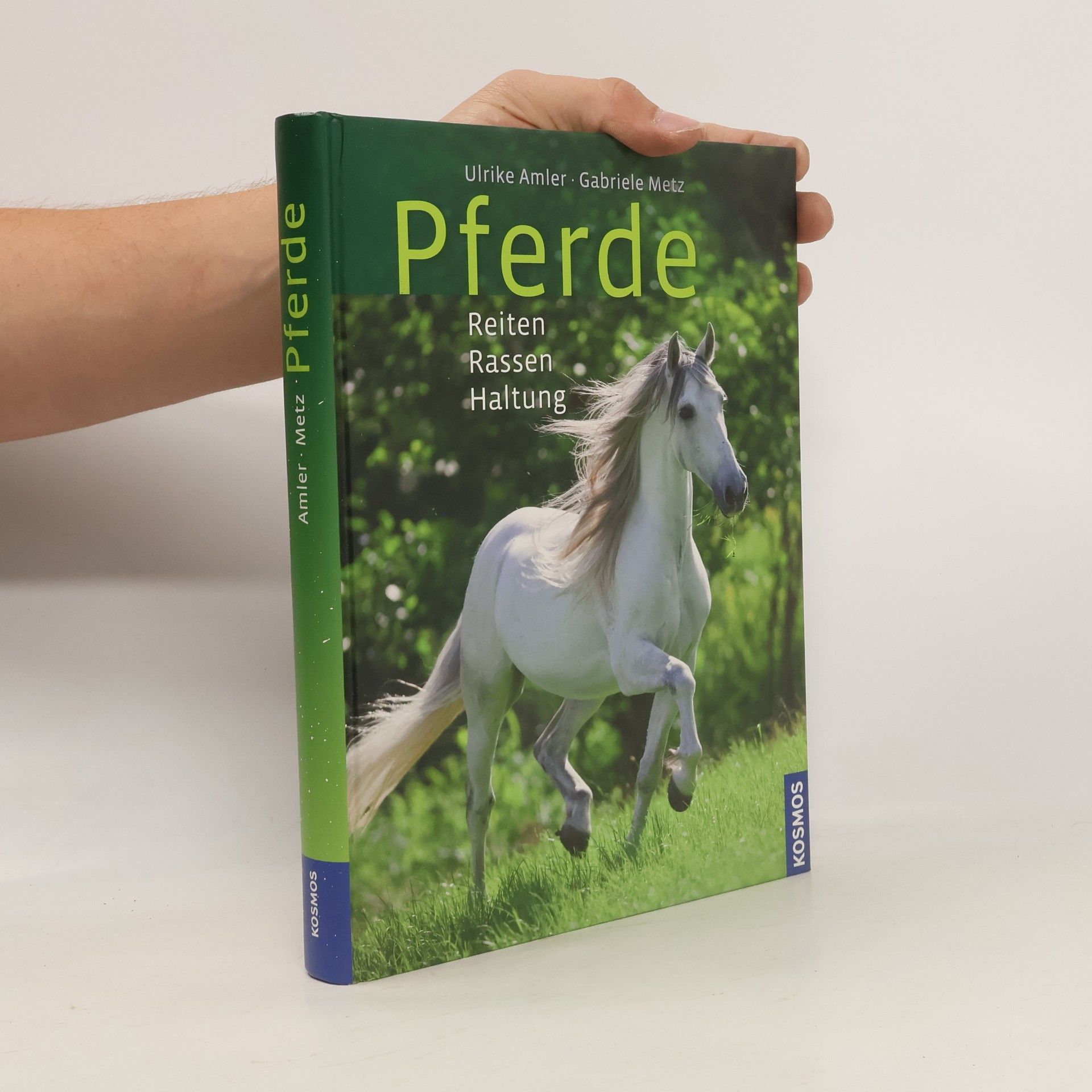 Ulrike Amler Pferde