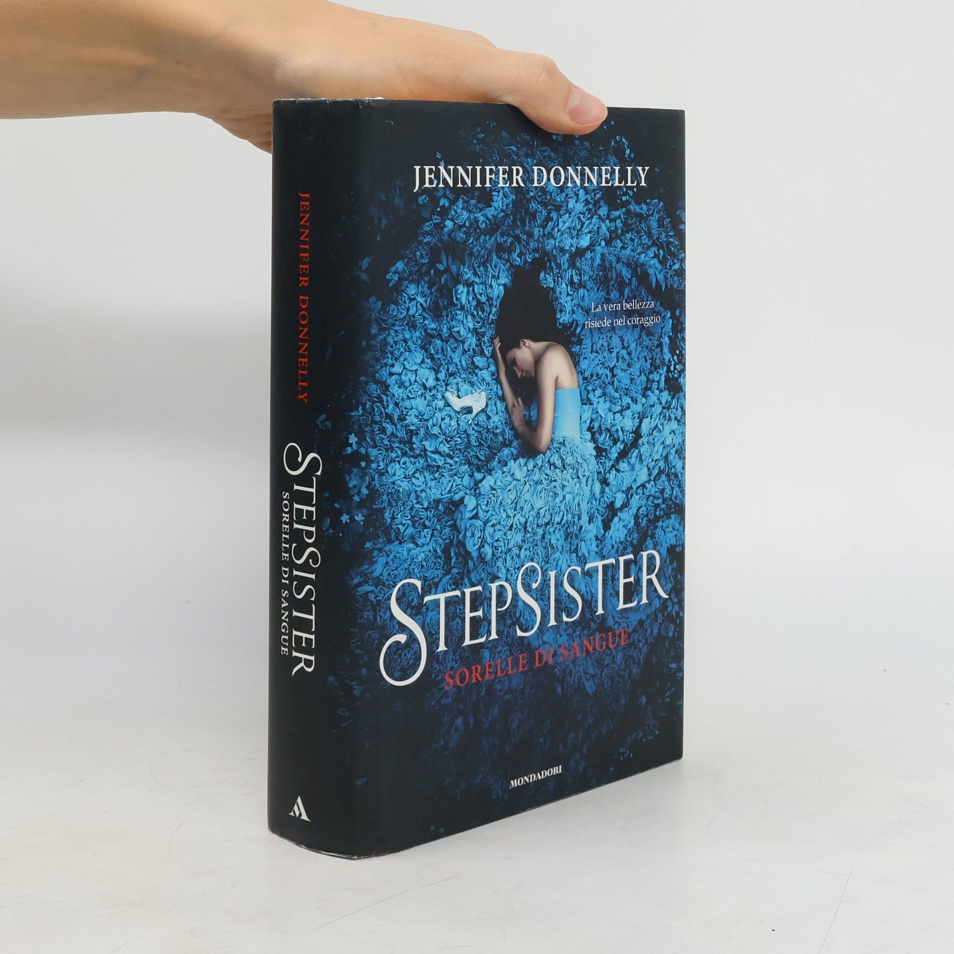 Jennifer Donnelly Stepsister