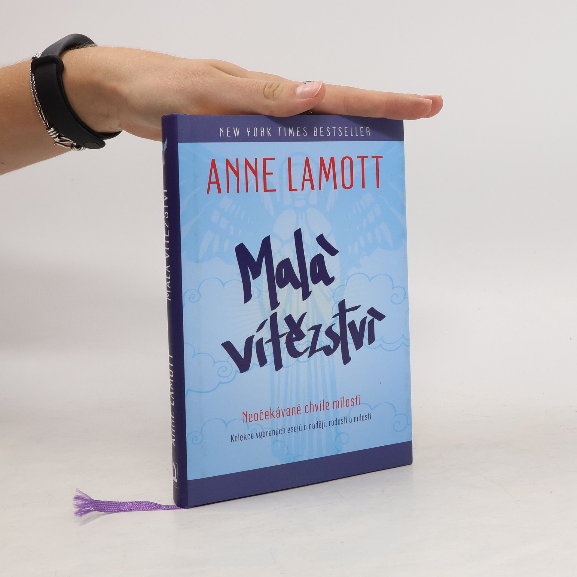 Anne Lamott Malá vítězství
