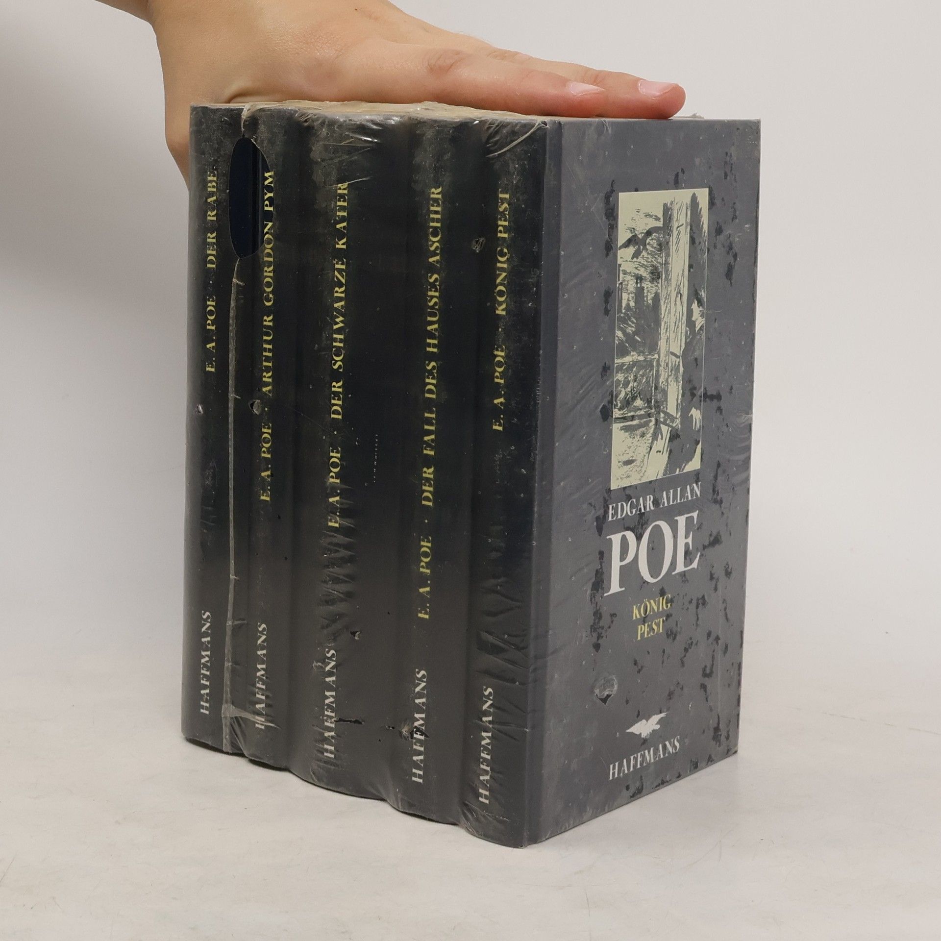 Edgar Allan Poe Gesammelte Werke in 5 Bänden