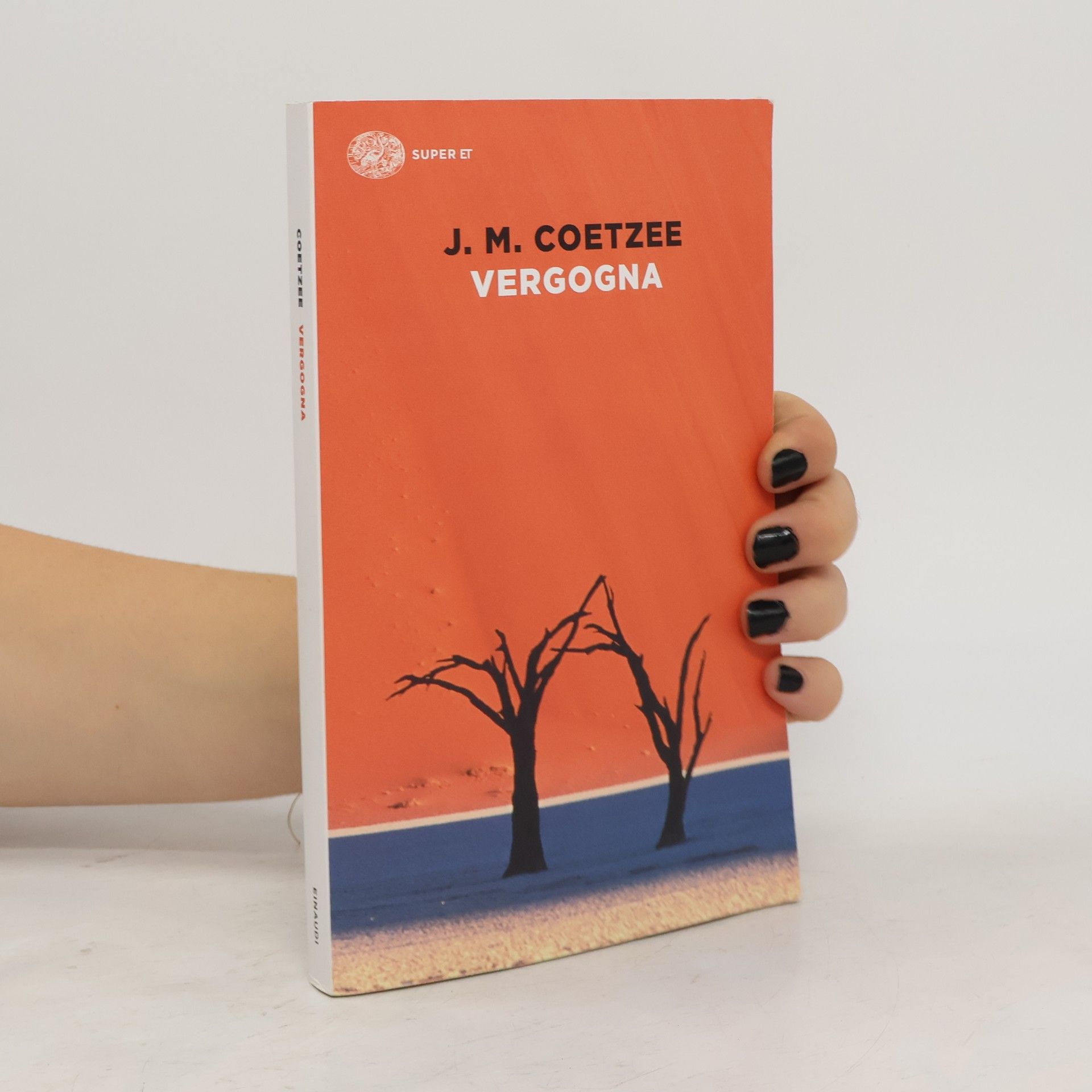 John Maxwell Coetzee Vergogna