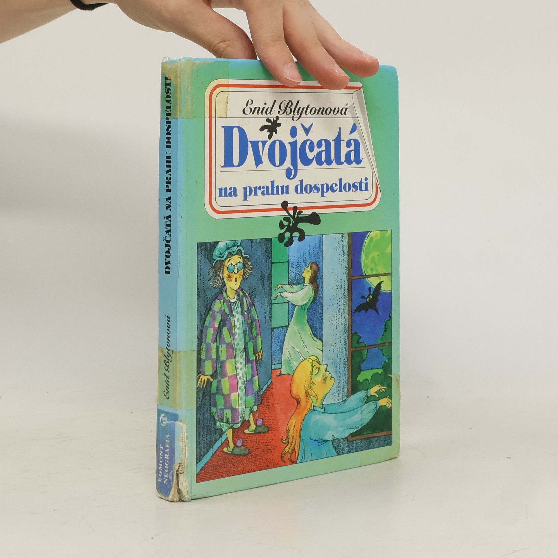 Enid Blyton Dvojčatá na prahu dospelosti