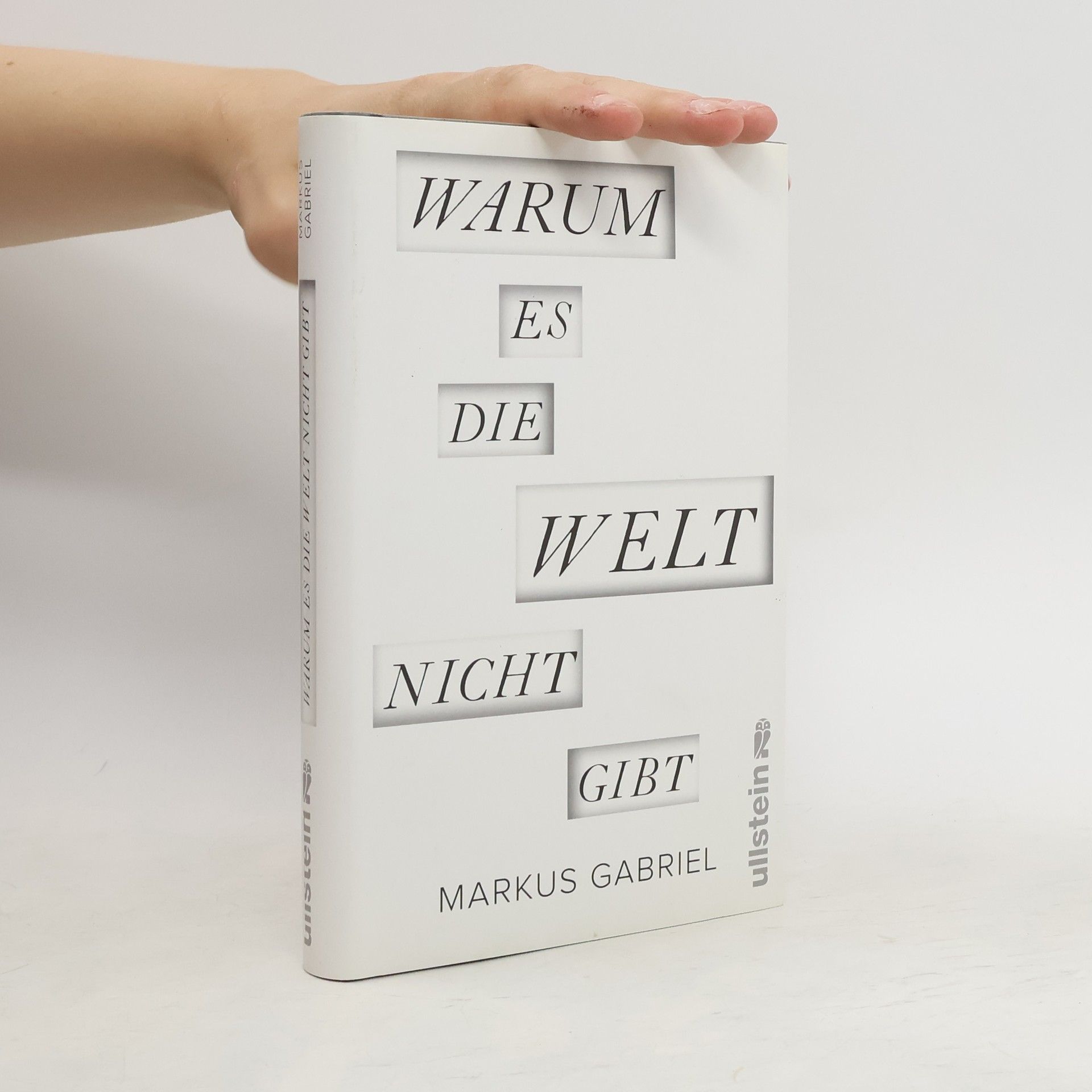 Markus Gabriel Warum es die Welt nicht gibt